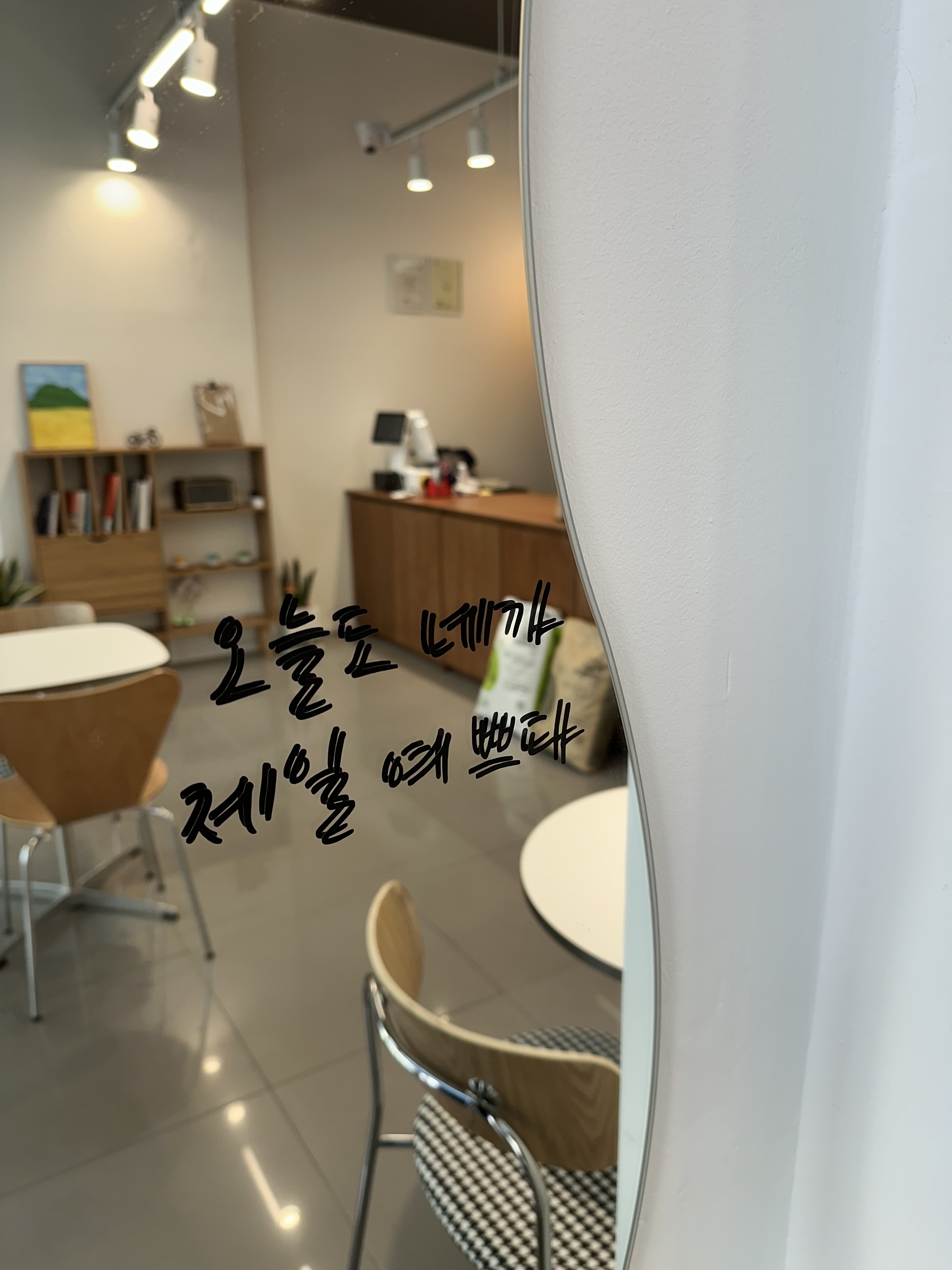 고송네모