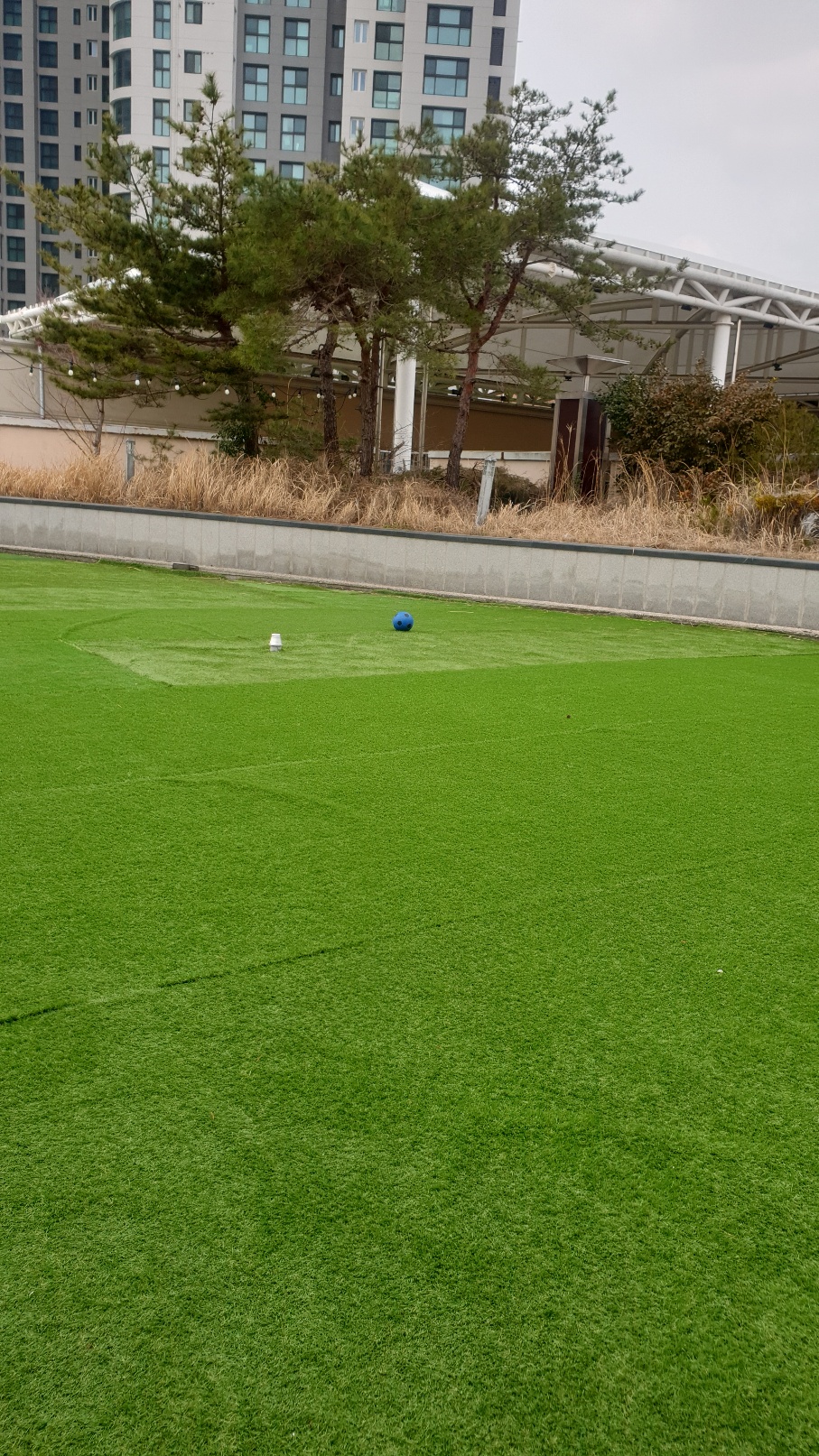 펫스티벌 대표 이미지