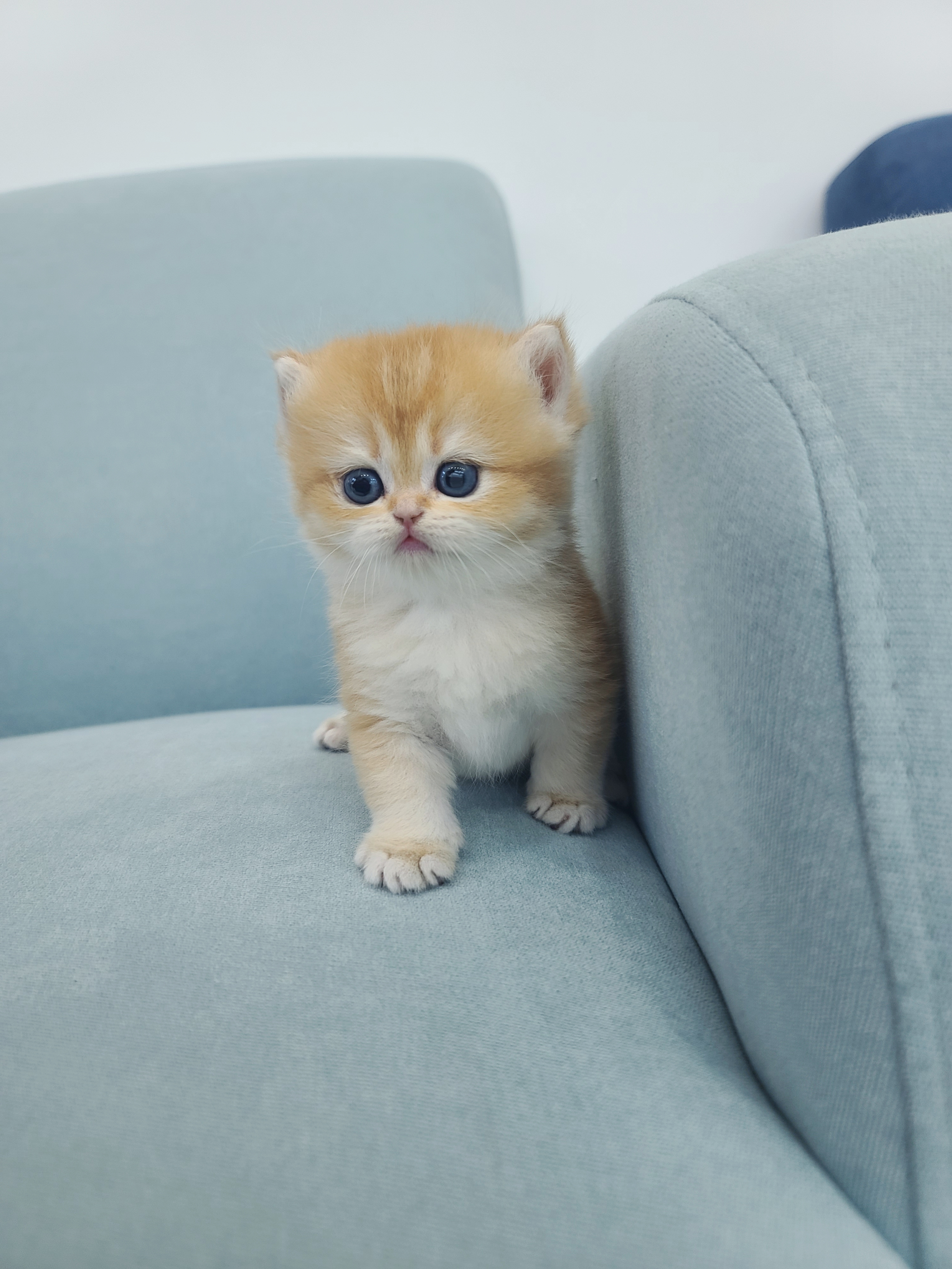 그르릉