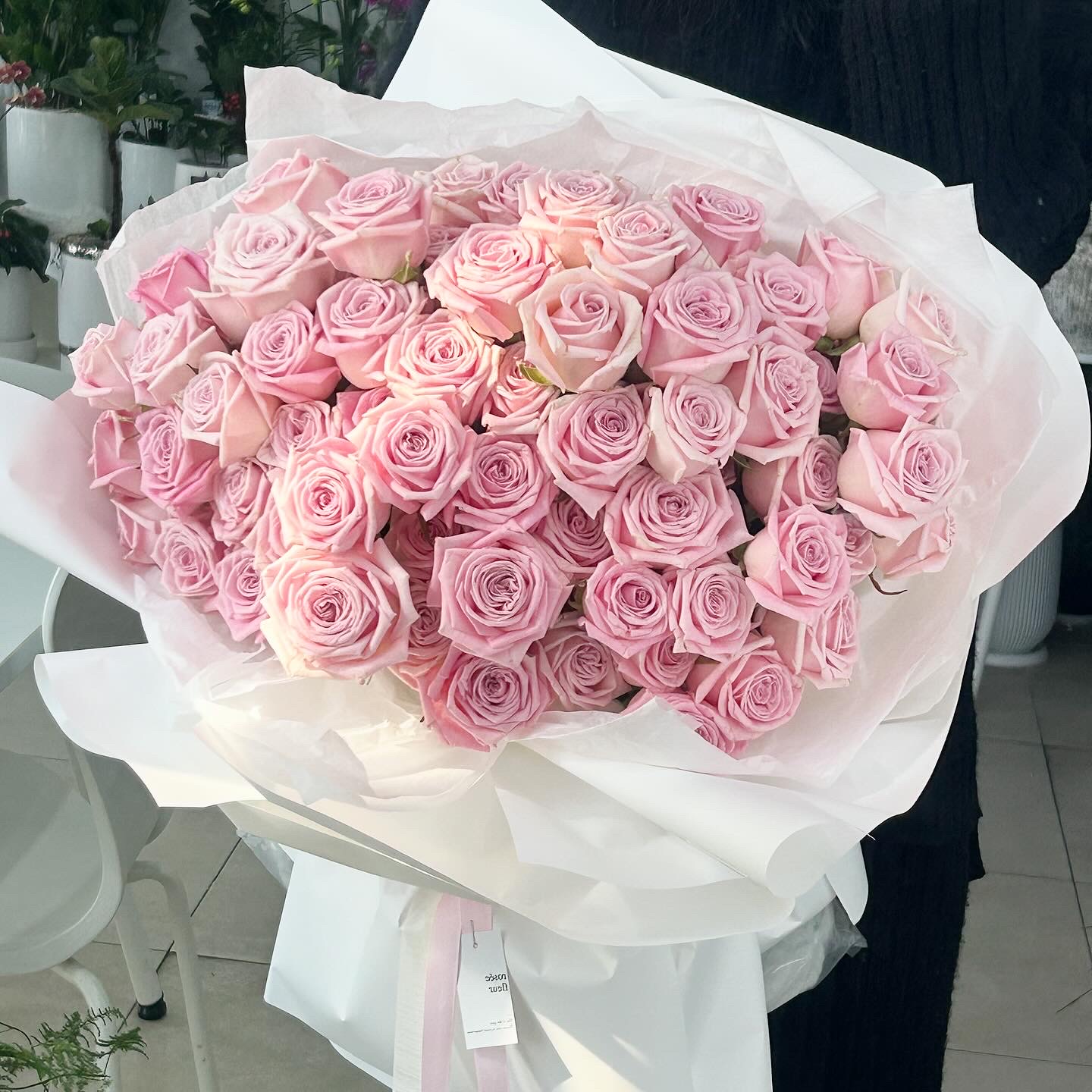 로제플레르