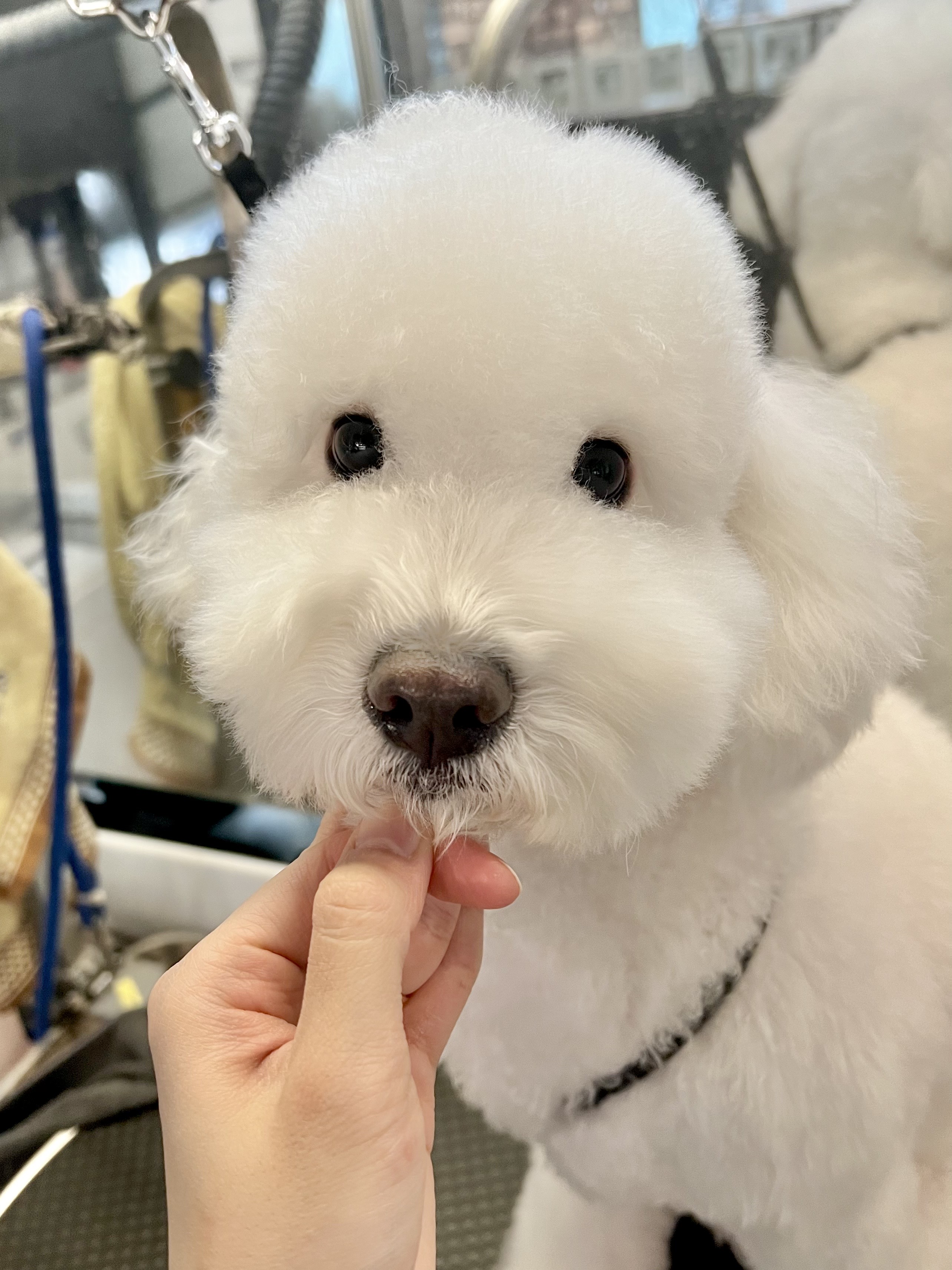 개스트하우스 4