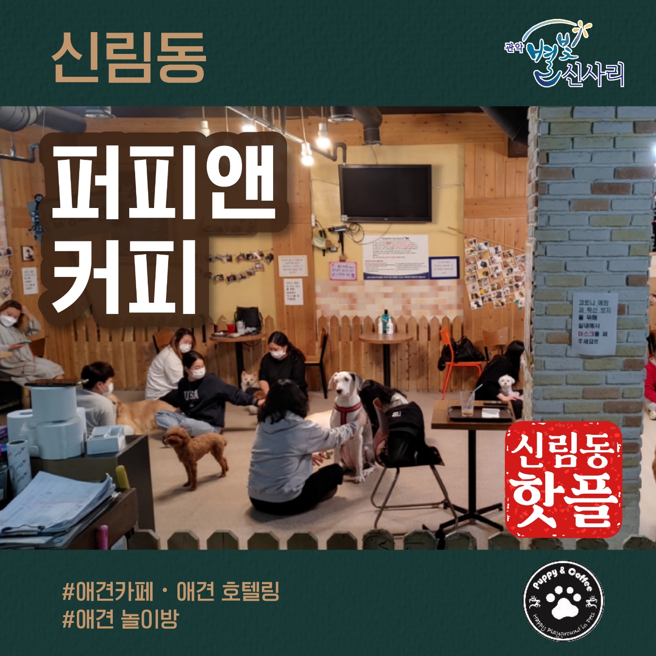 퍼피앤커피 반려동물 동반 애견카페