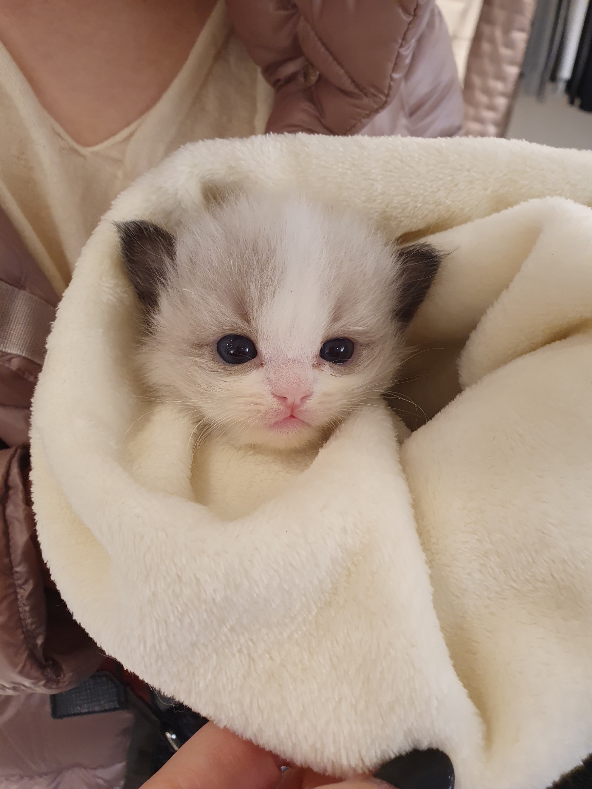 러블리캣 해운대점