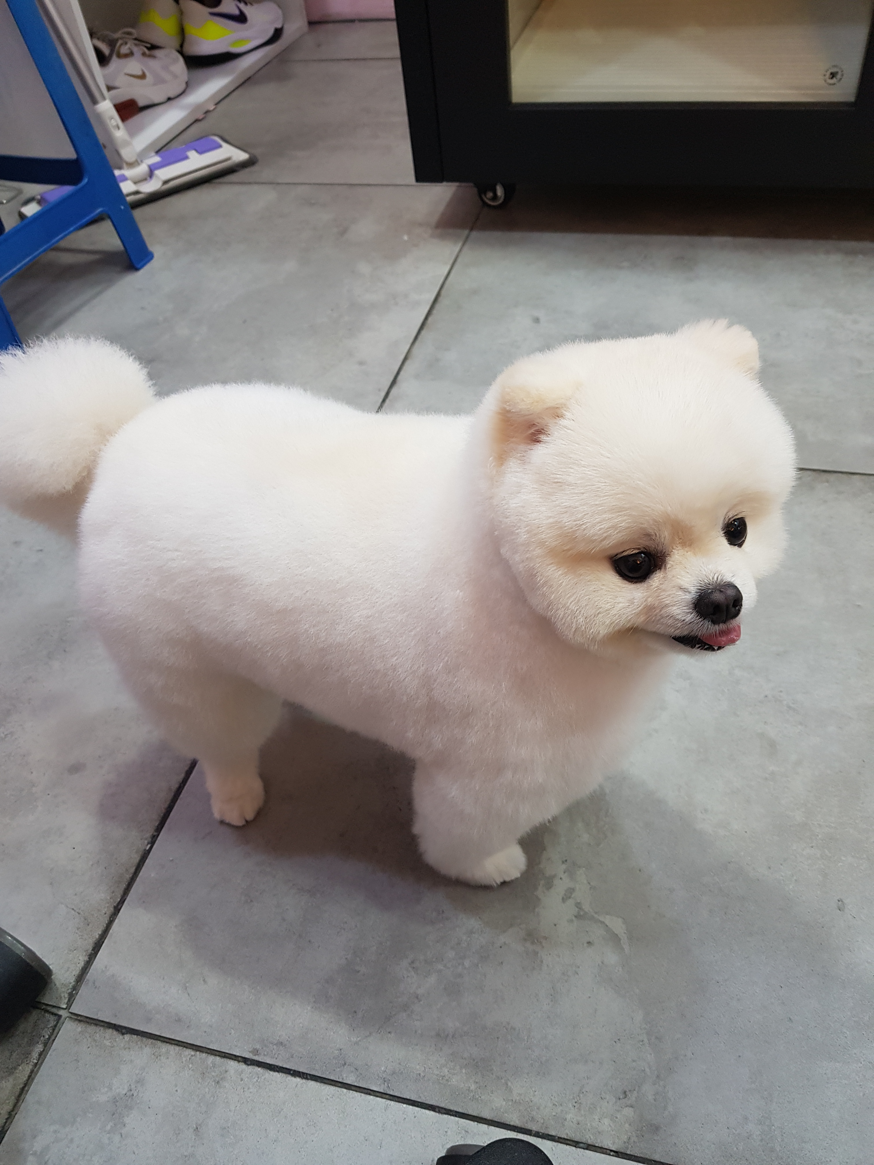 아껴줄개 2