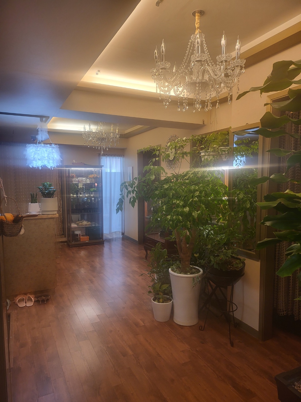 그린바디케어 photo 10
