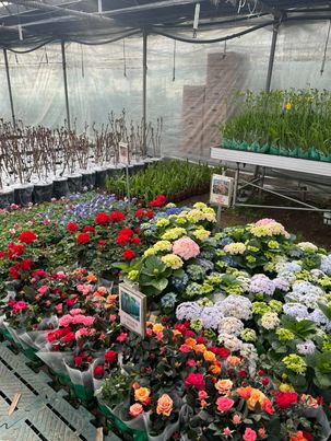 김포시산림조합나무시장