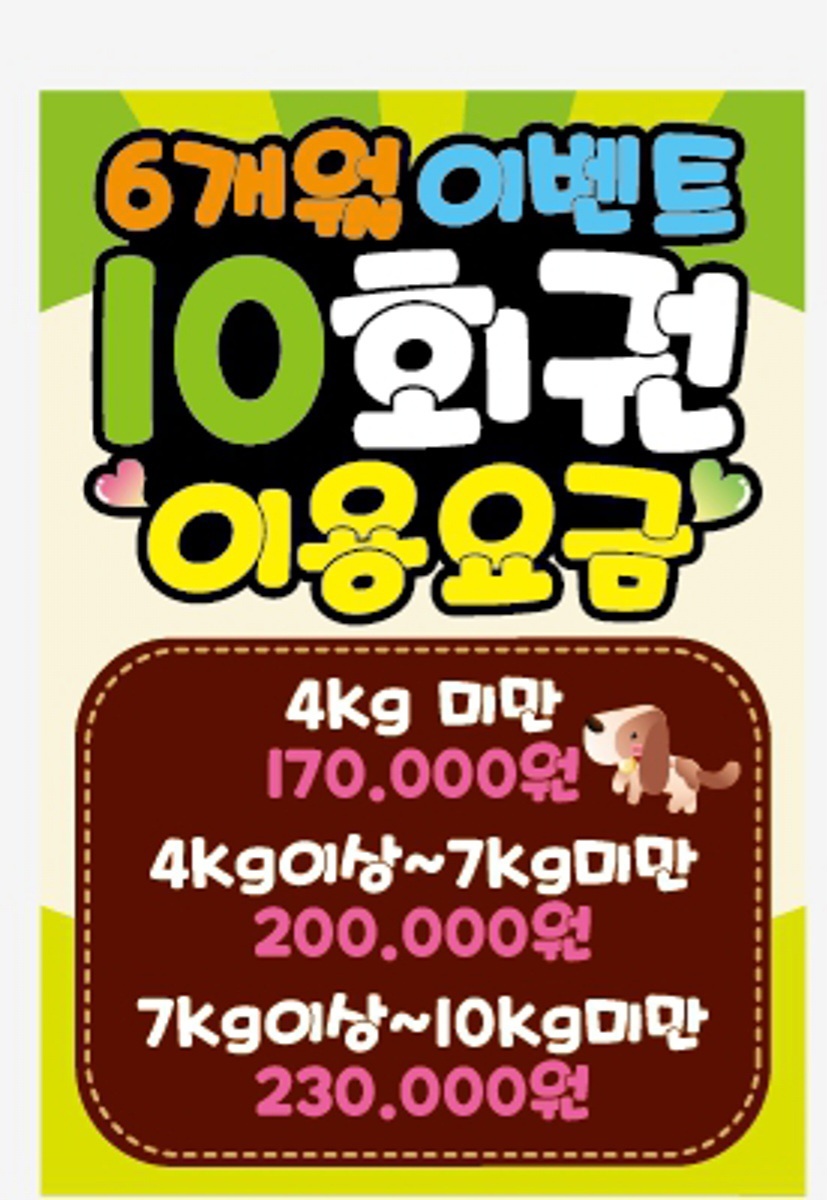 몽실이네 멍멍놀이터