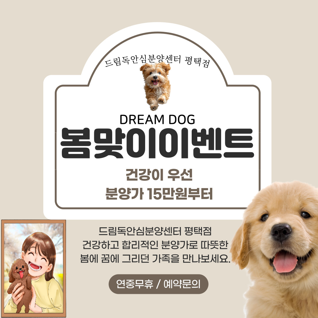 드림독 강아지고양이 안심분양센터 평택점
