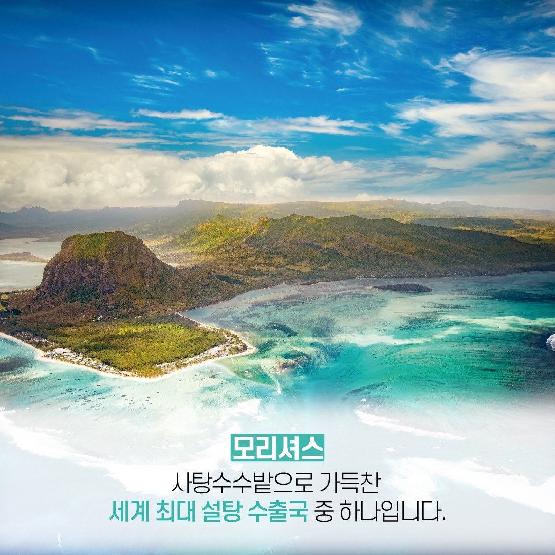 모리셔스브라운 영종점