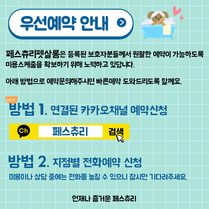 페스츄리펫살롱 화이트역삼점 내부 또는 관련 모습