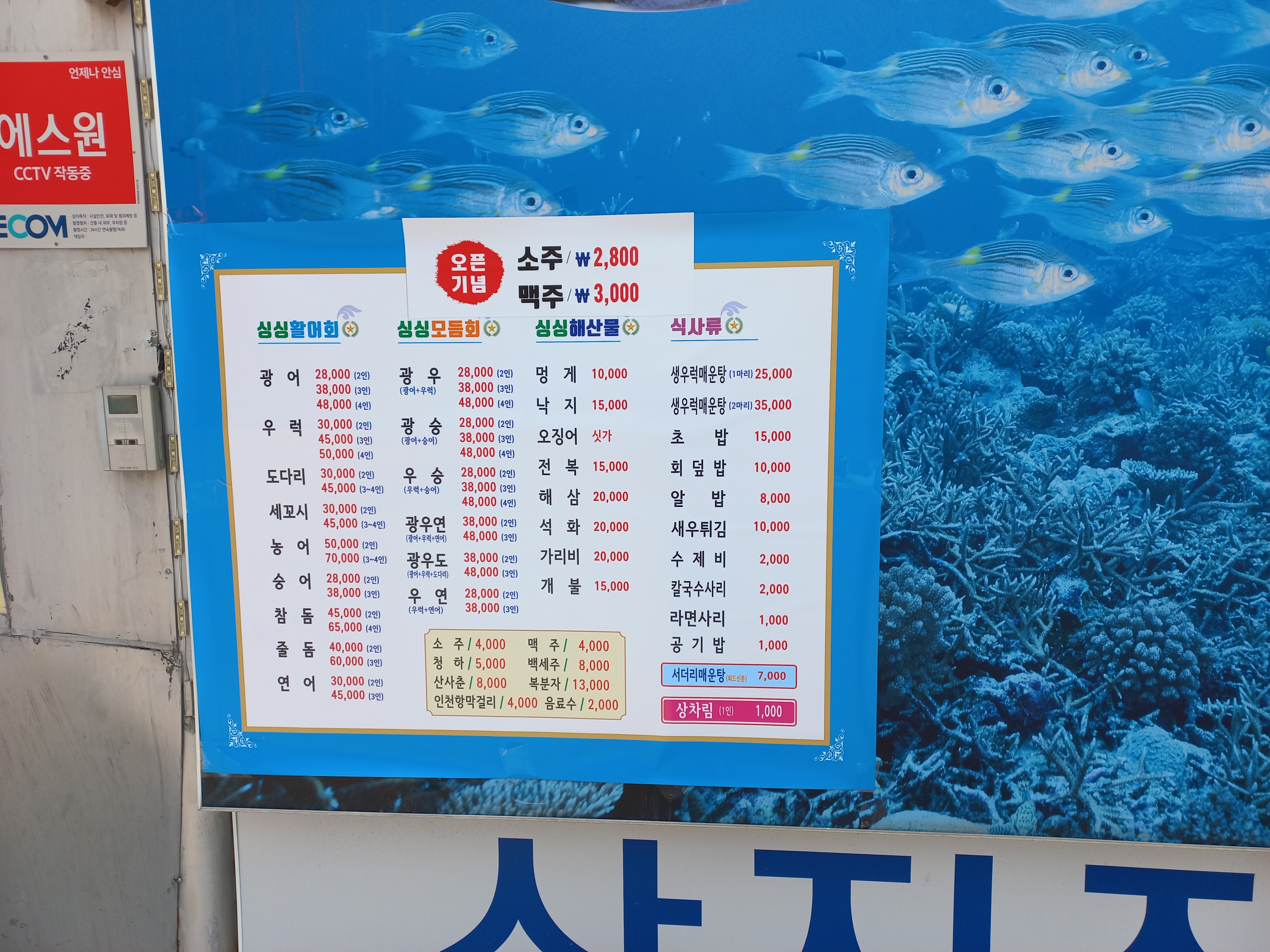싱싱 활어 종합어시장