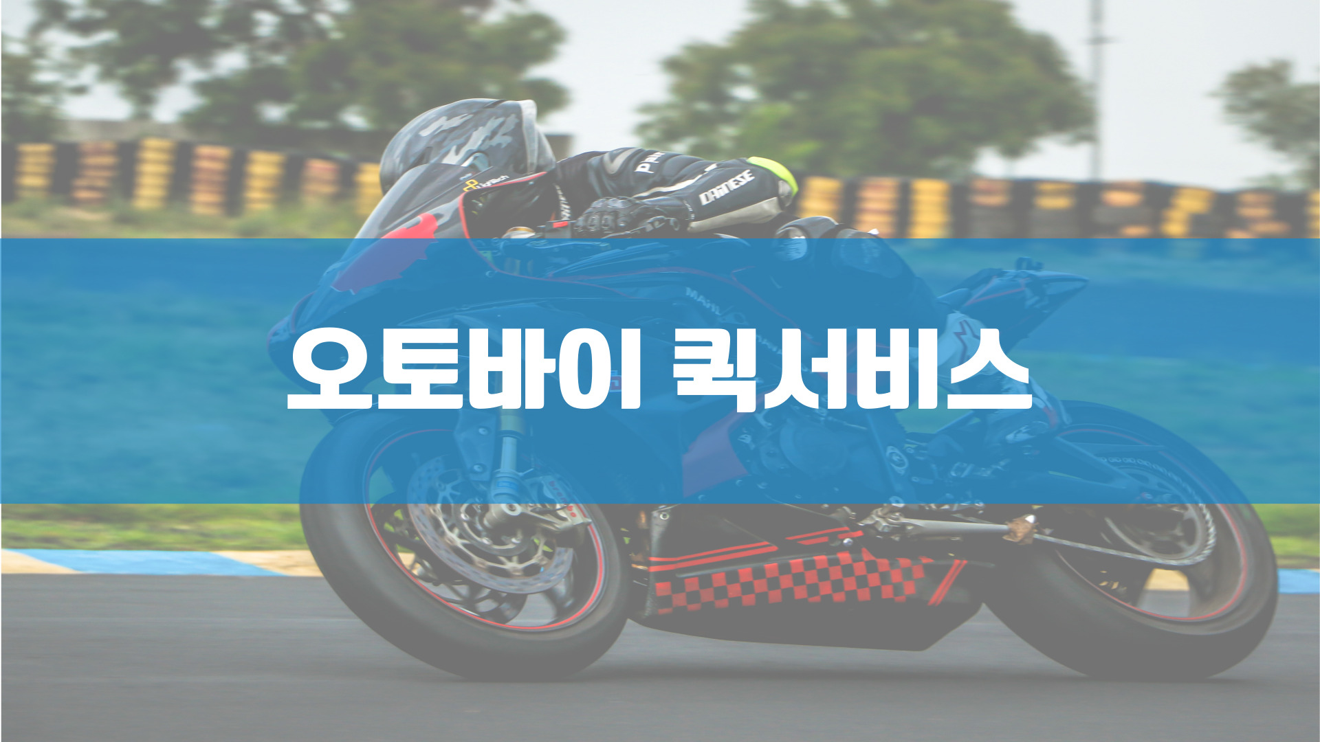 와이엘피 강남영업소