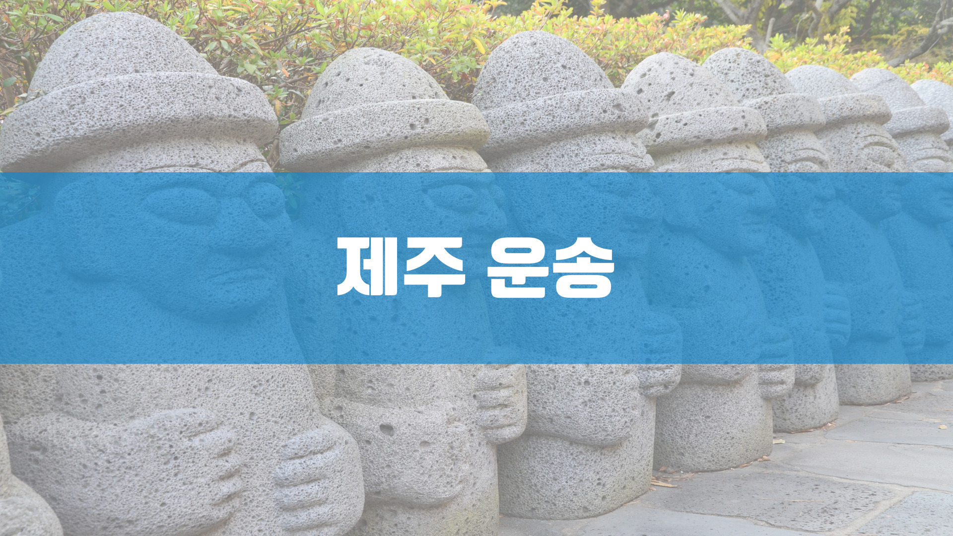 와이엘피 강남영업소