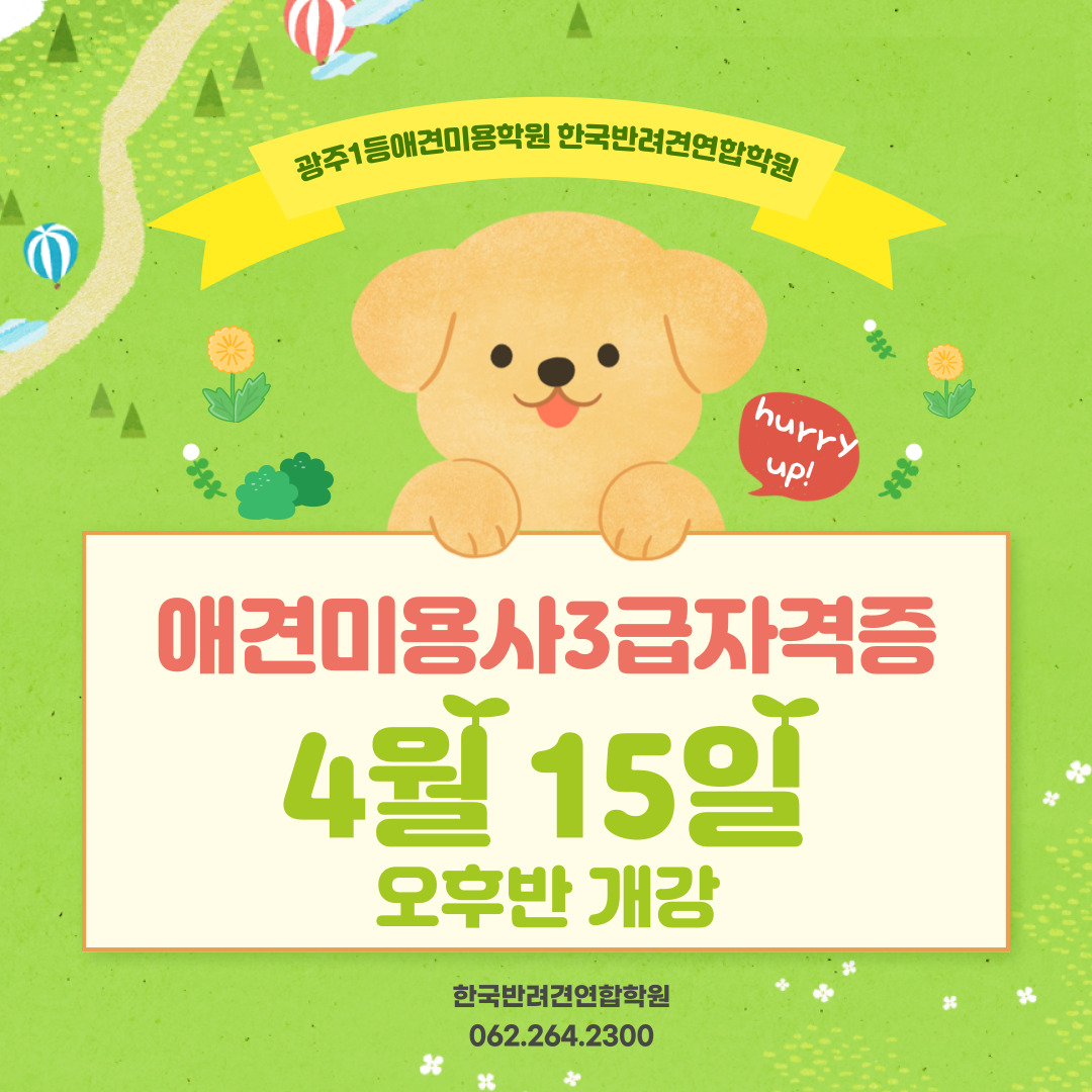 한국반려견연합학원 대표 이미지