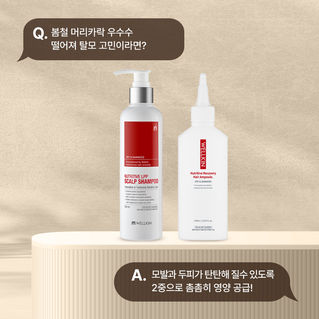 웰킨두피탈모센터 신사점