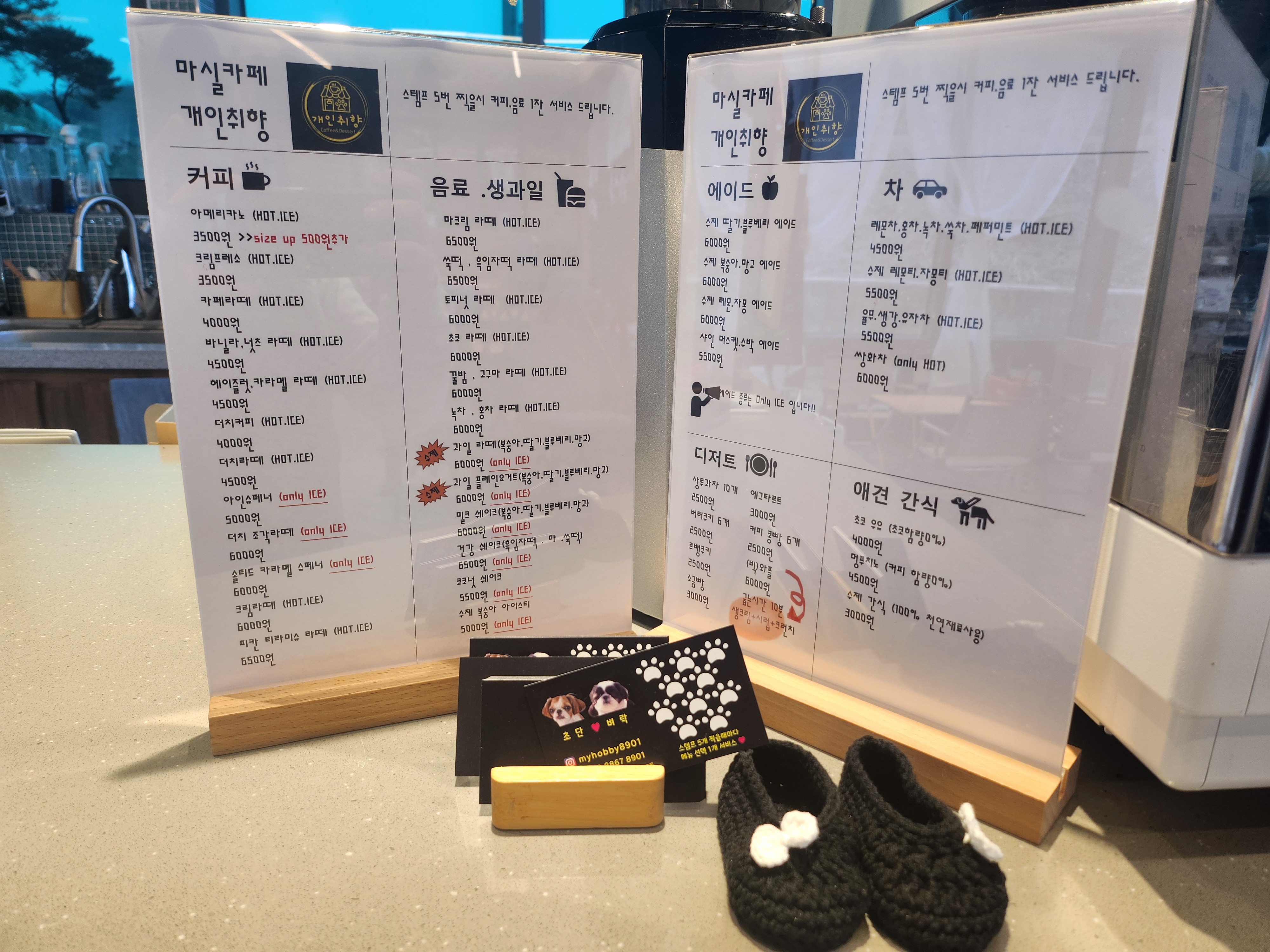 마실카페 개인취향 경상 애견맛집