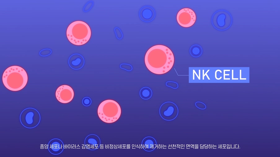 루팡픽쳐스