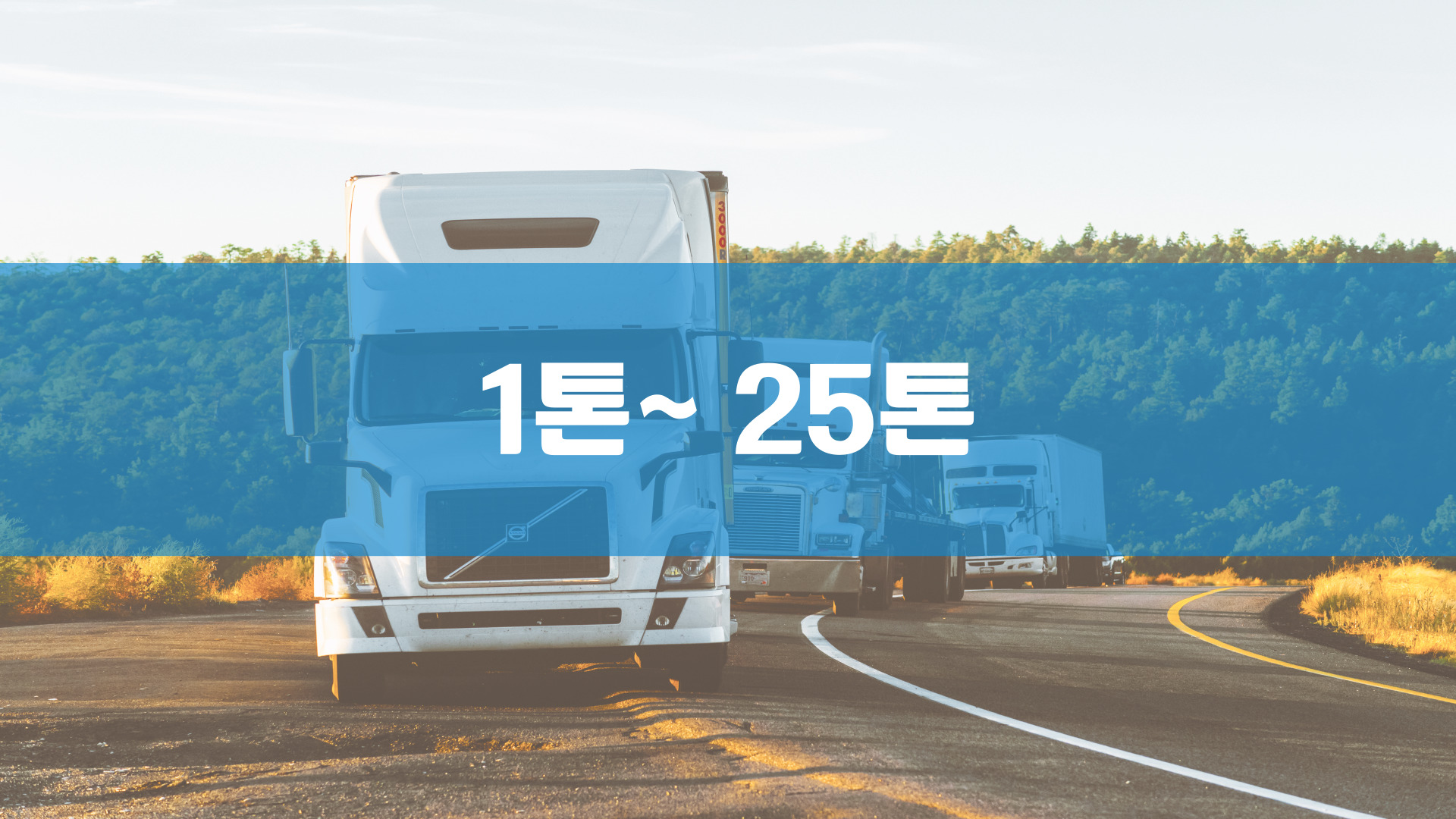 와이엘피 강남영업소