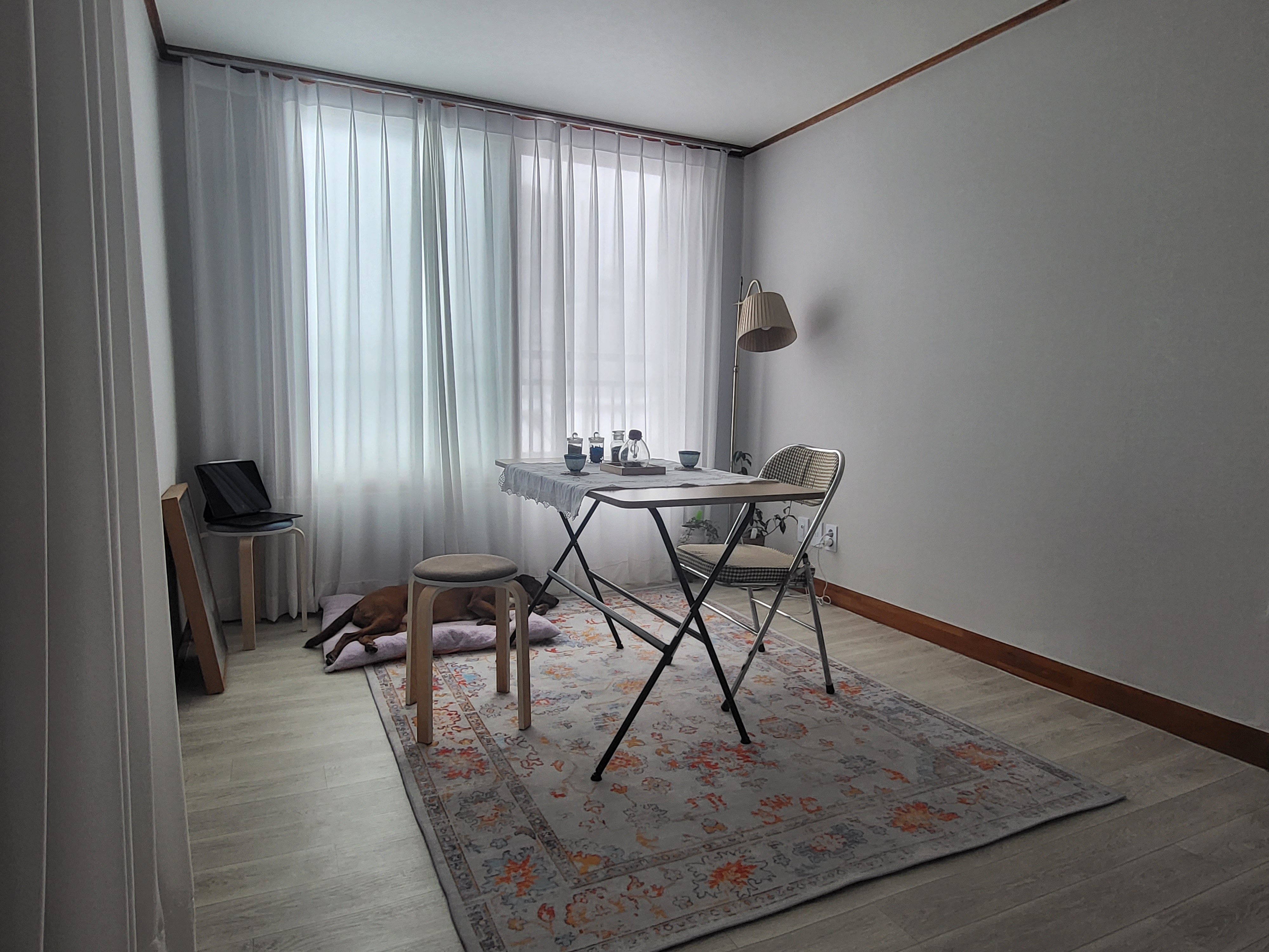 In so e 대표 이미지