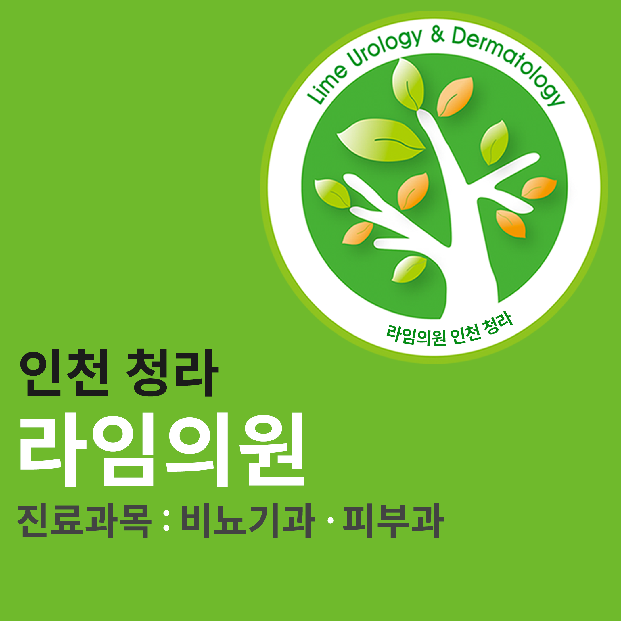 라임의원 청라점