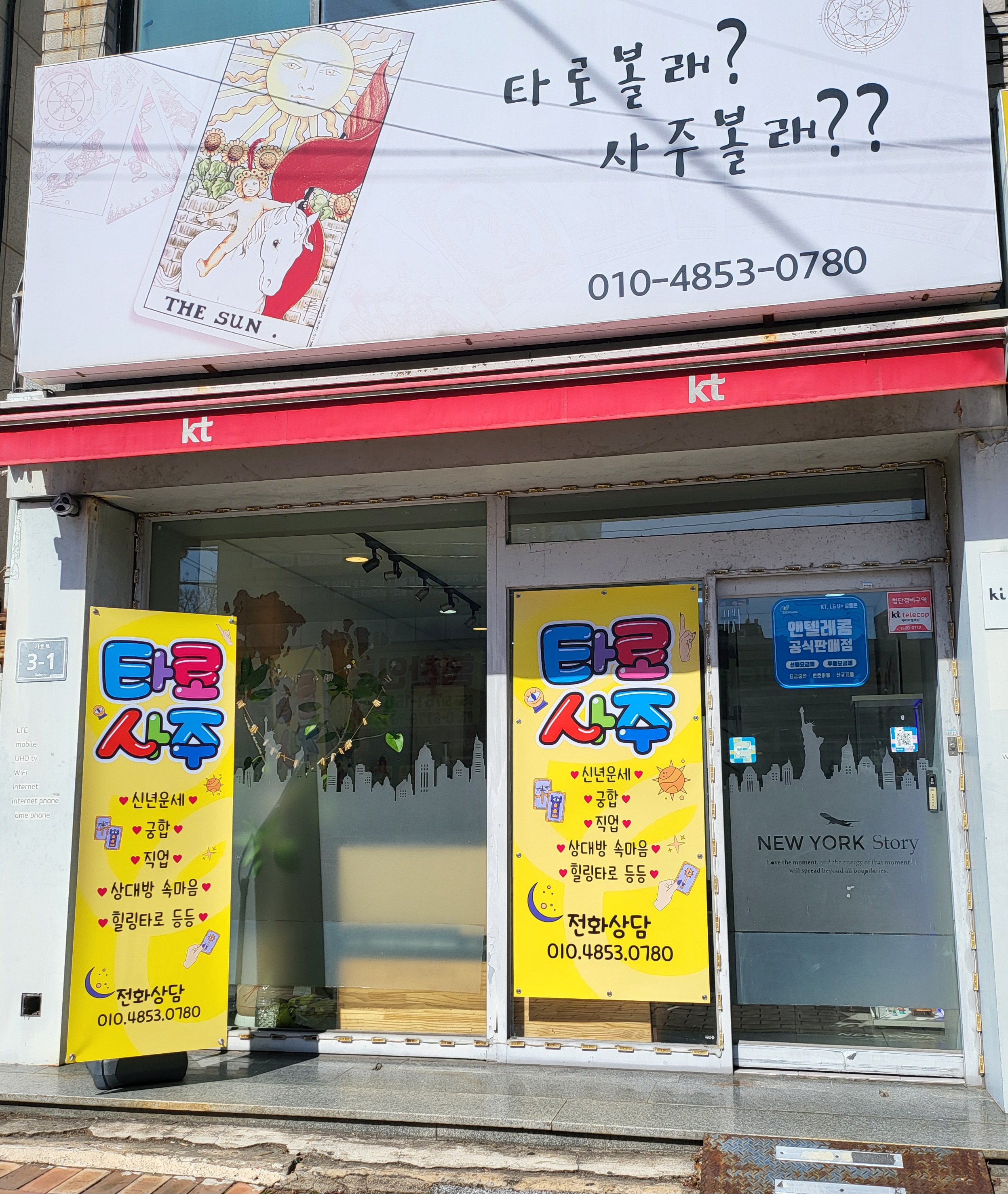 타로볼래 사주볼래