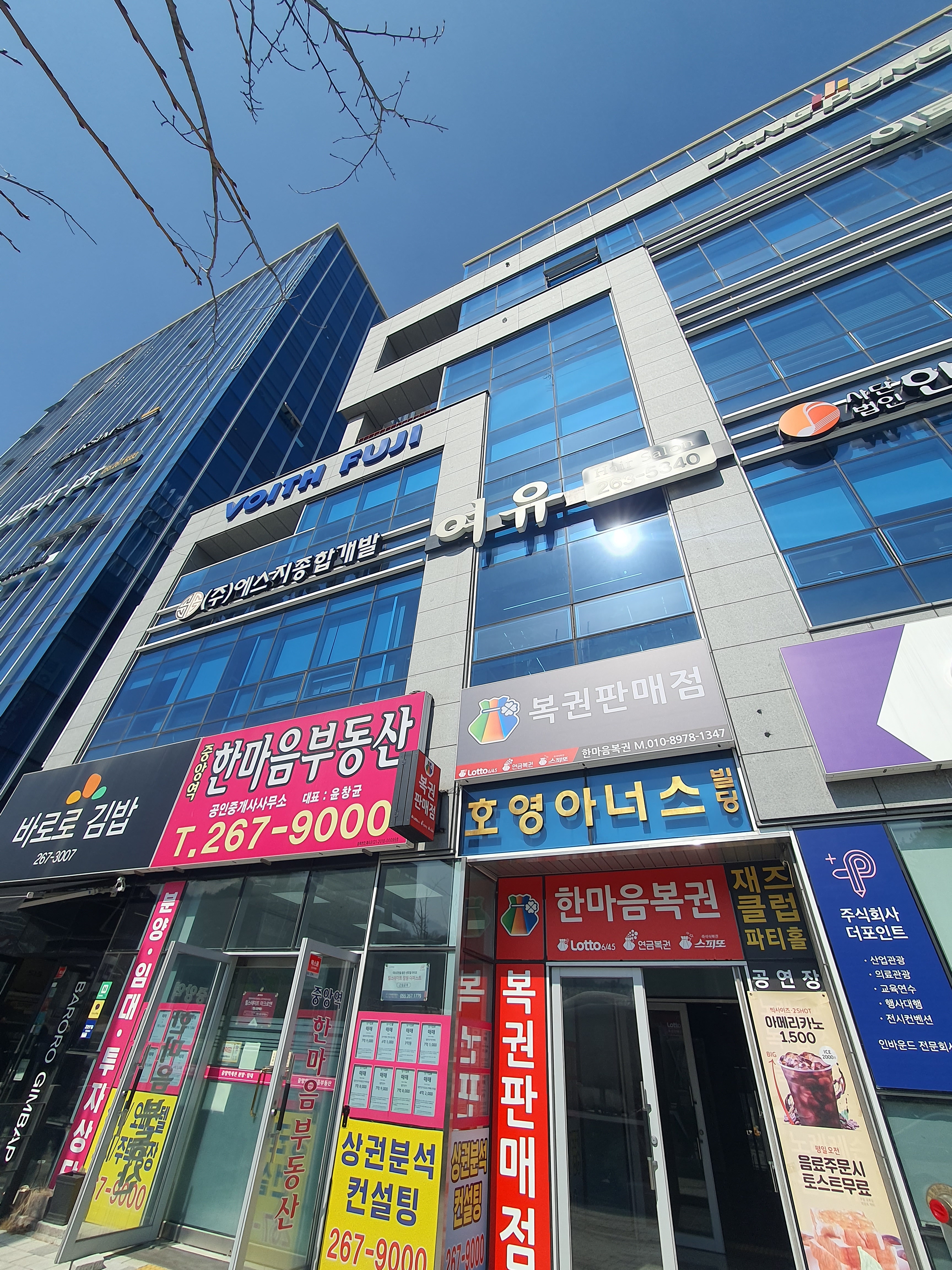 참조아여행사