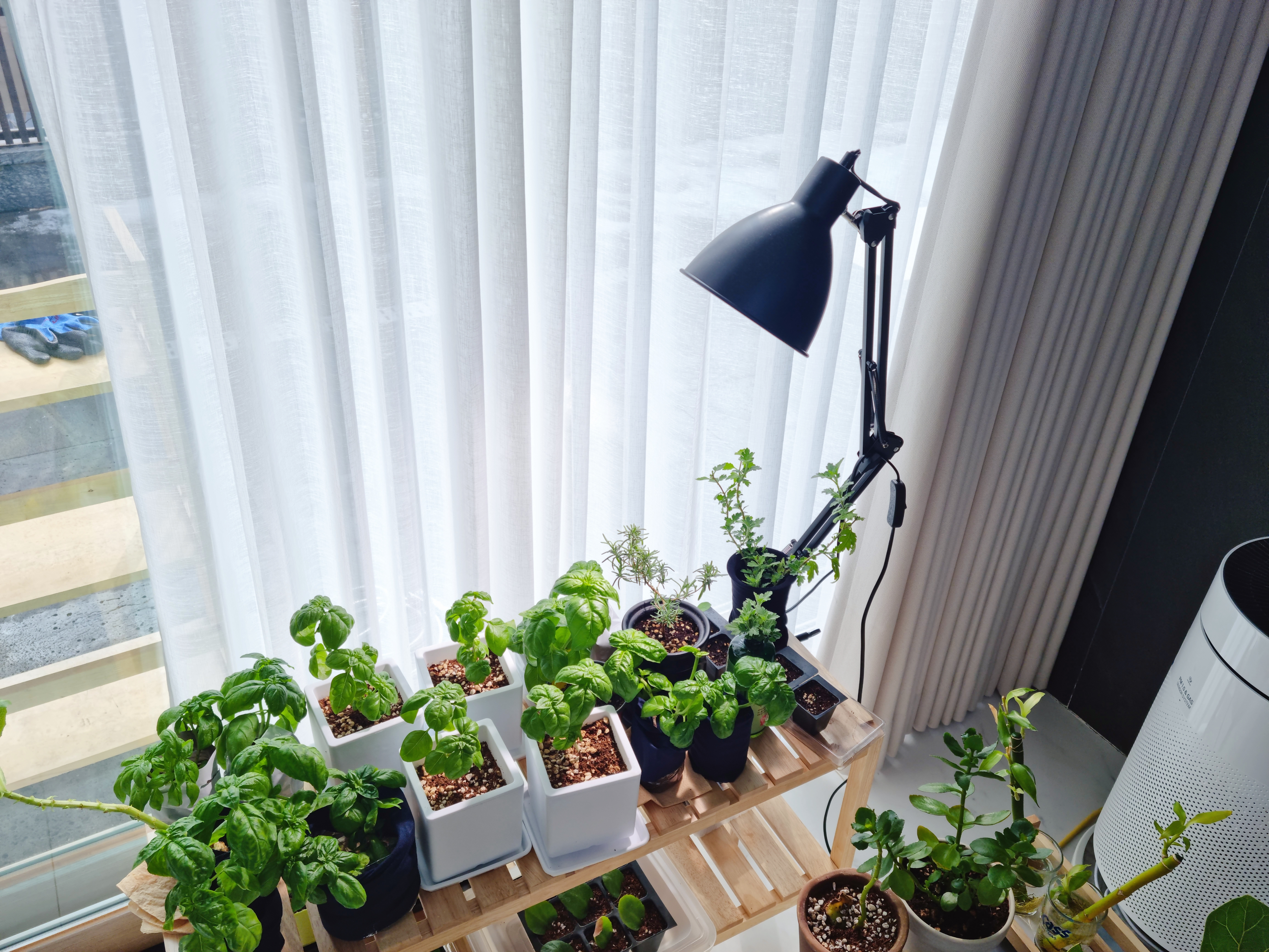 다모아커텐 대표 이미지