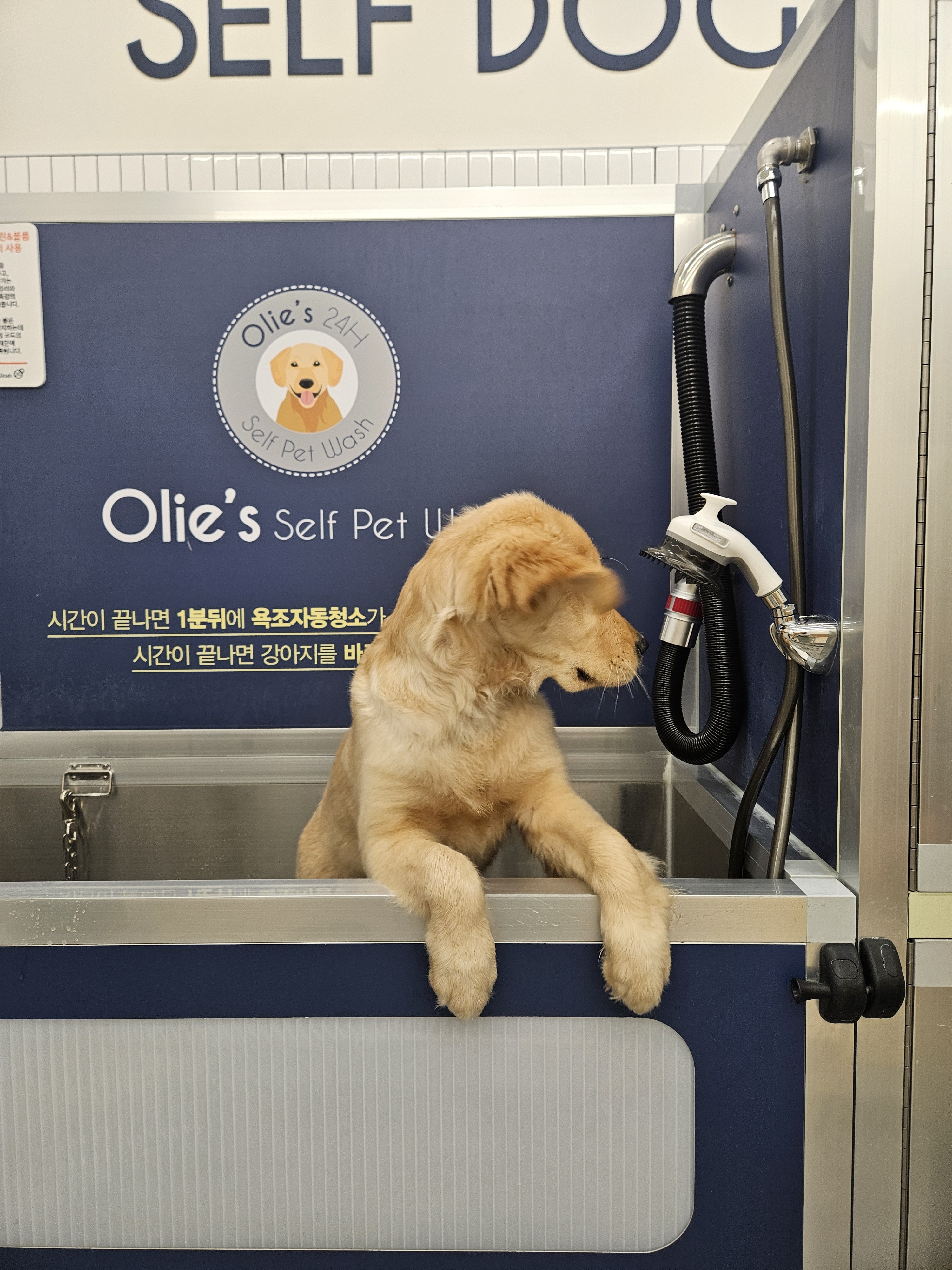 올리스24 부산남구점