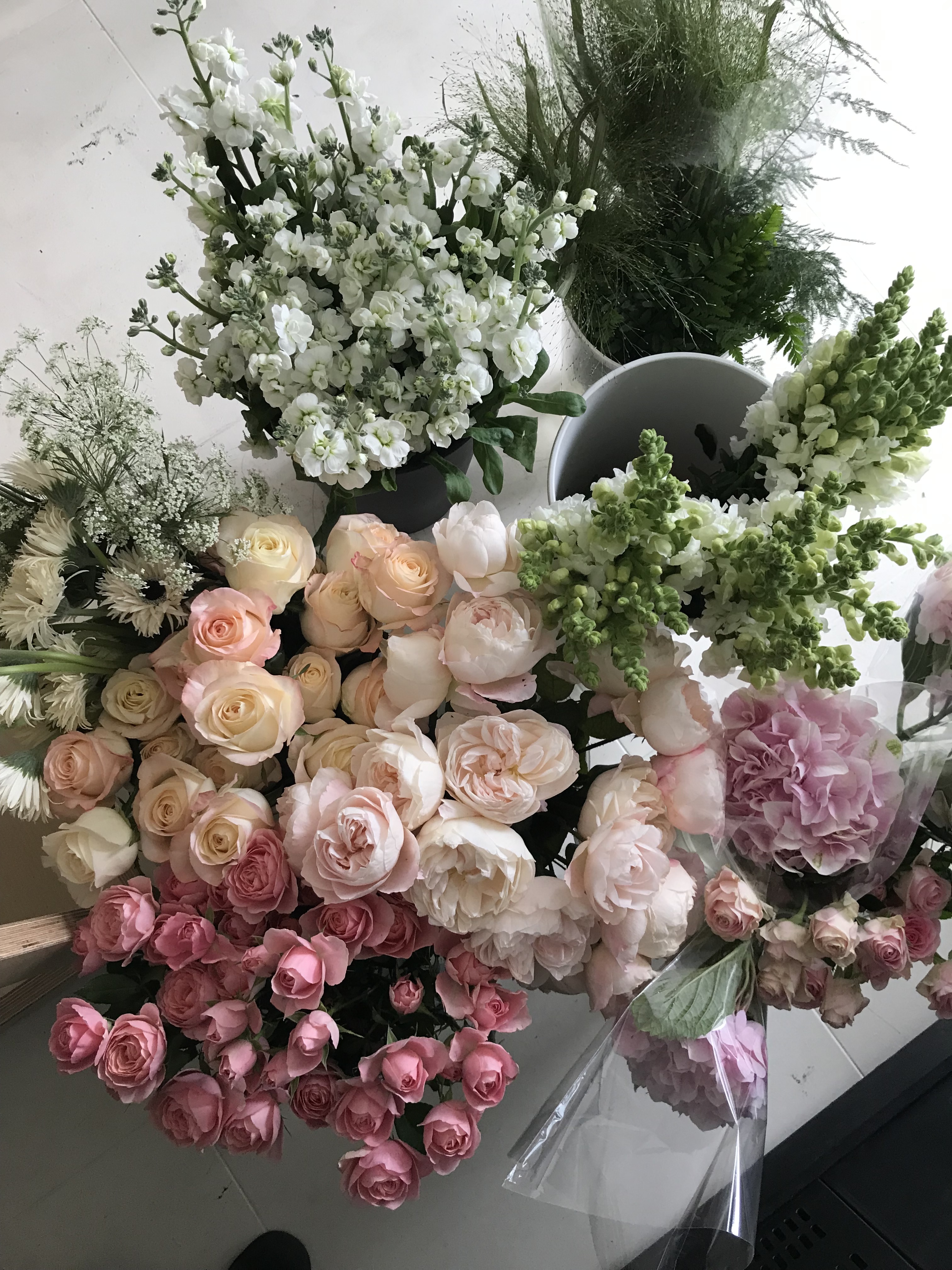 코모레비 플라워 이미지