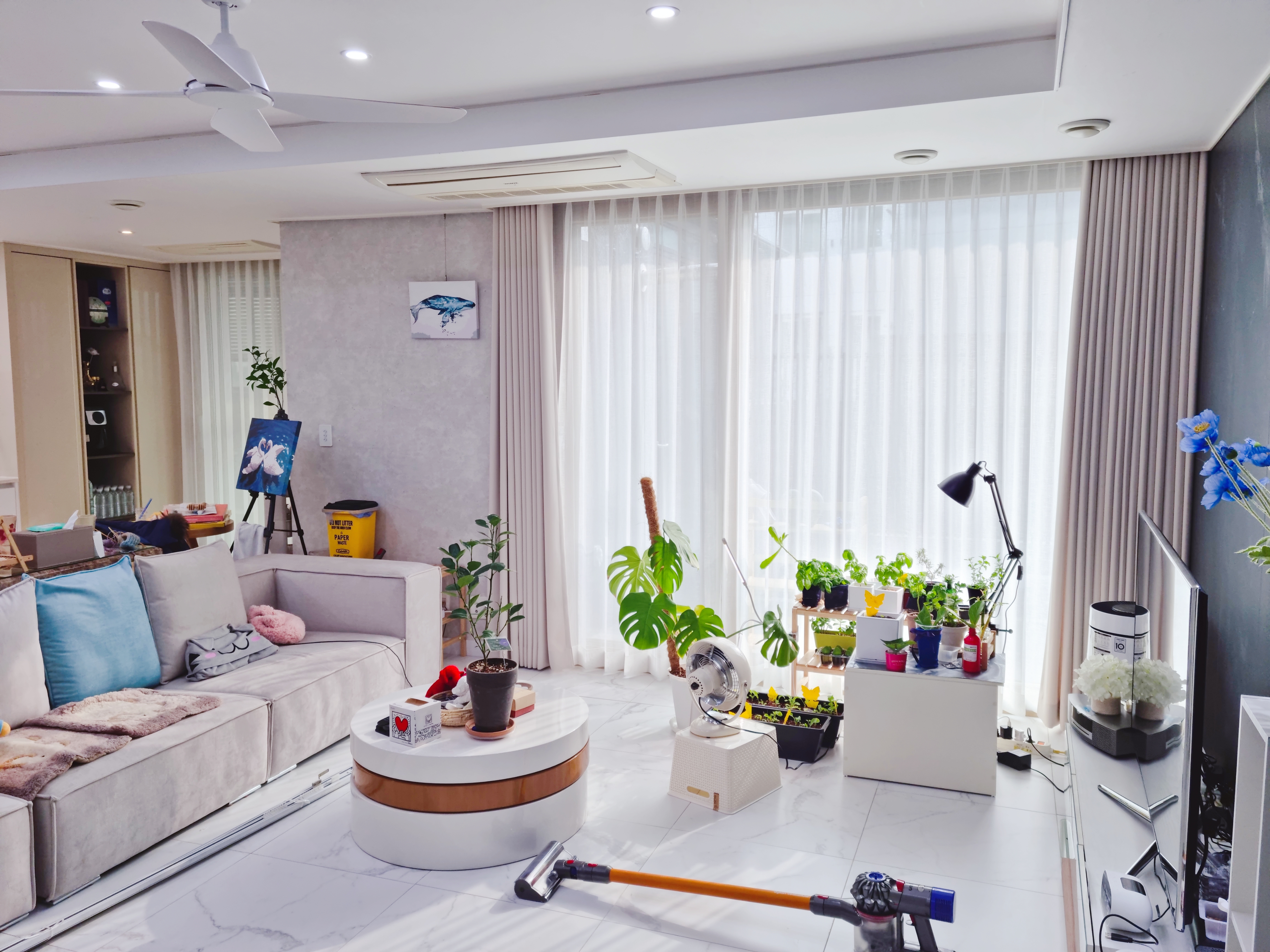 다모아커텐 대표 이미지