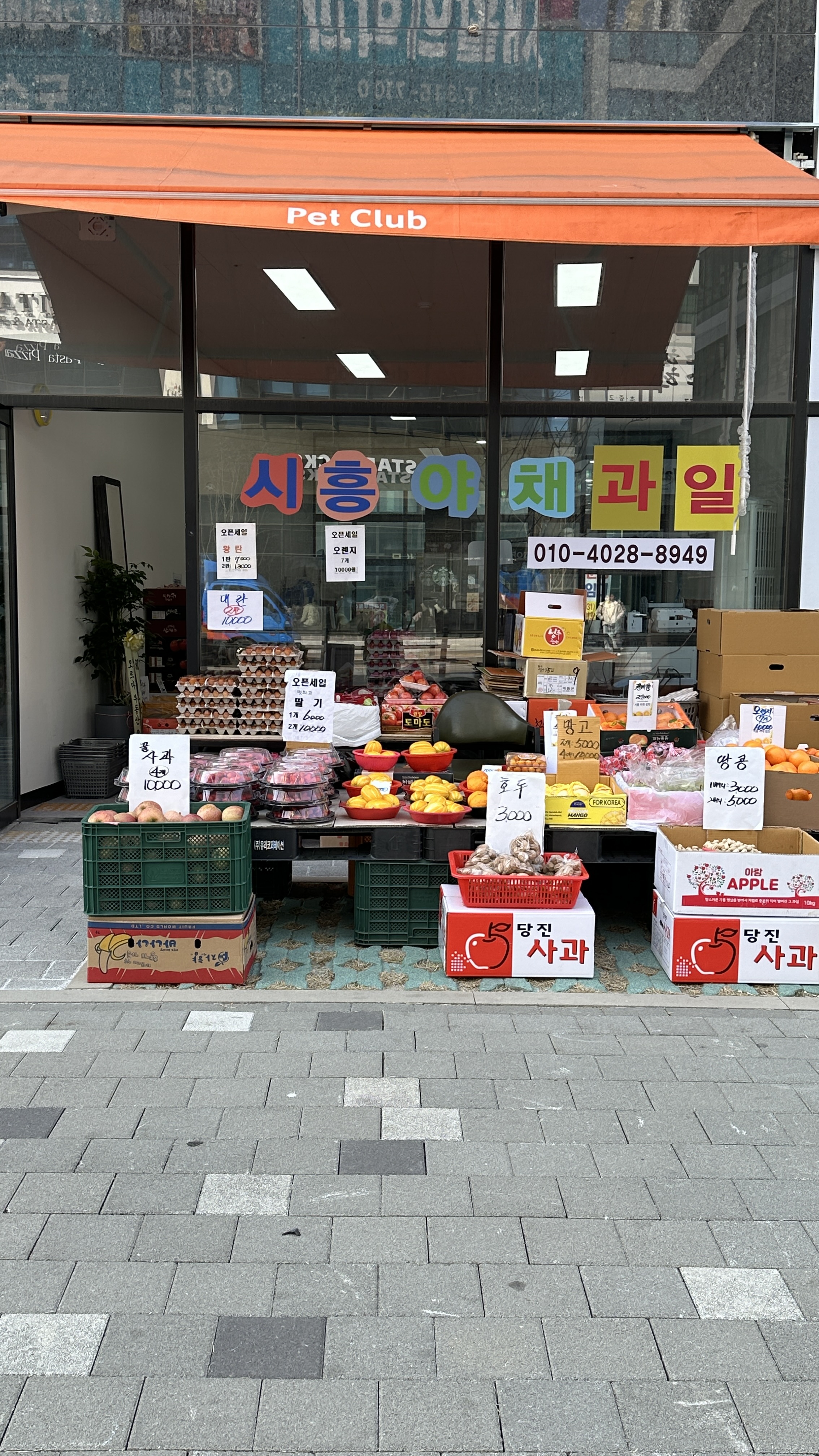 시흥야채청과