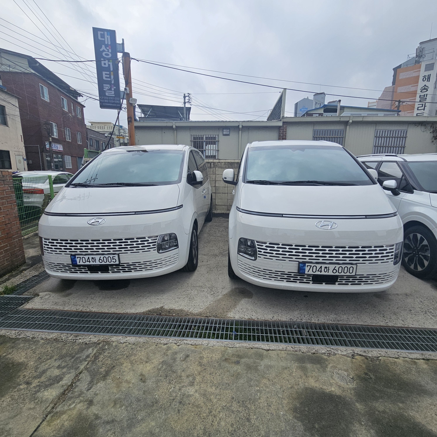 일일사투어렌트카