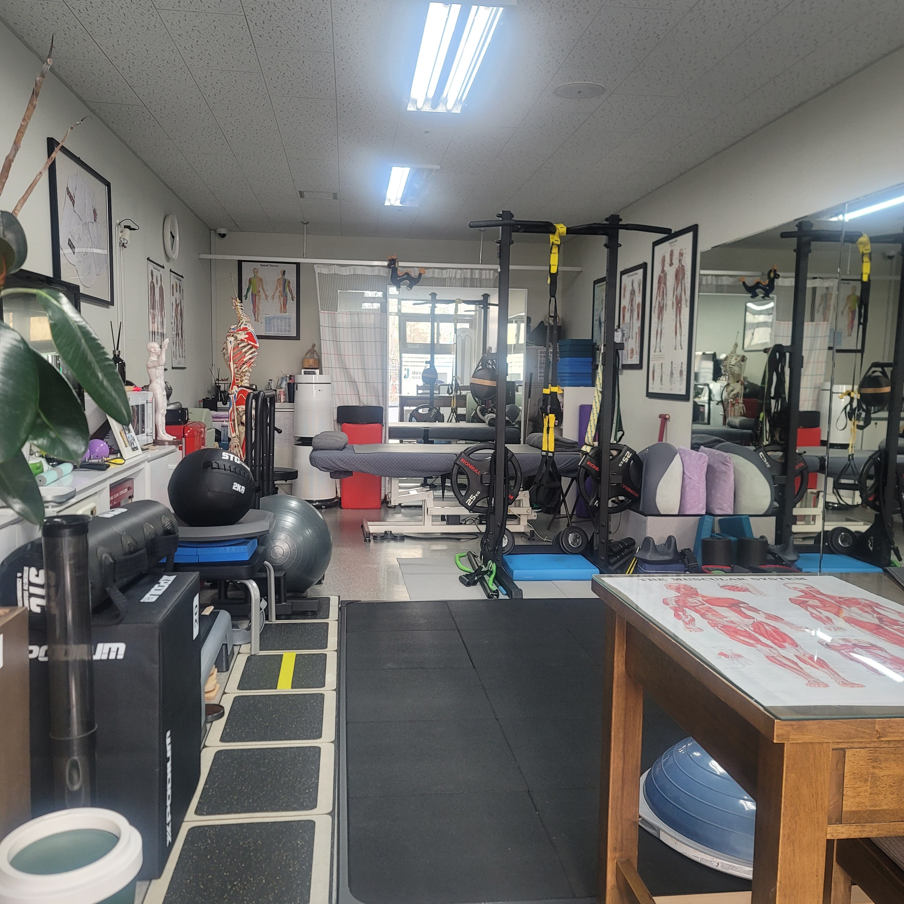 제이도수 photo 4