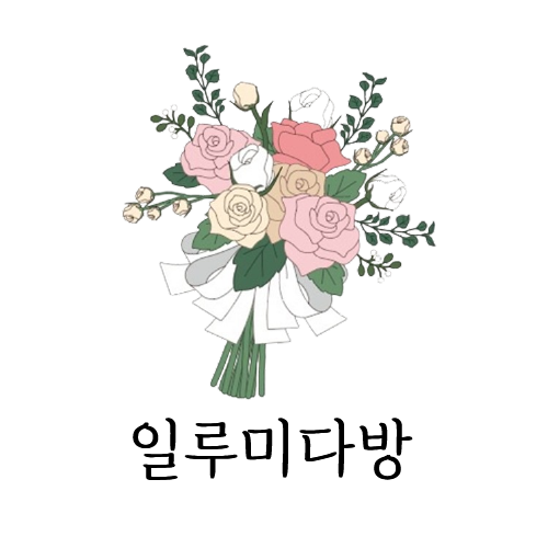 일루미다방