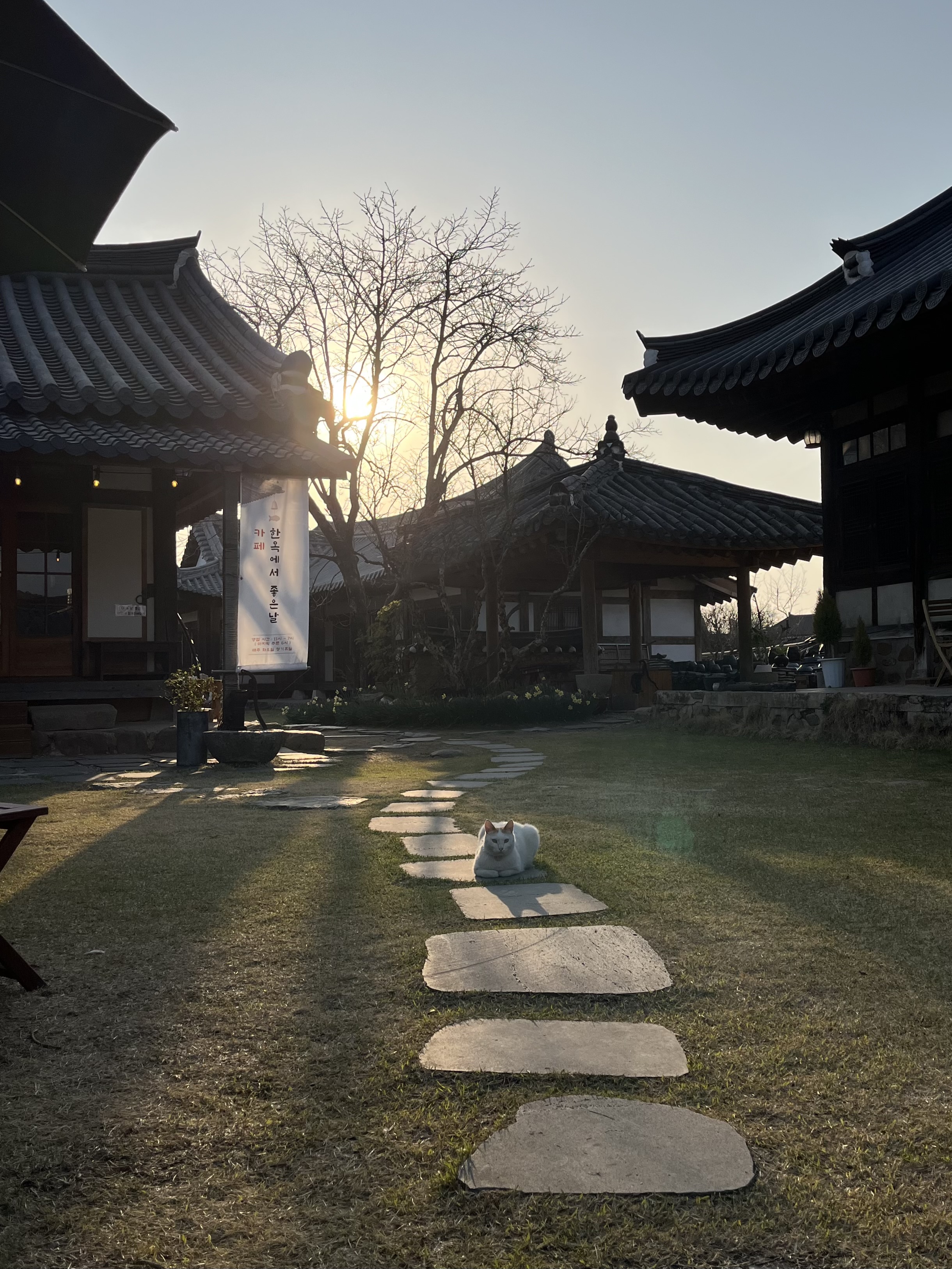 한옥에서좋은날 반려동물 동반 애견카페