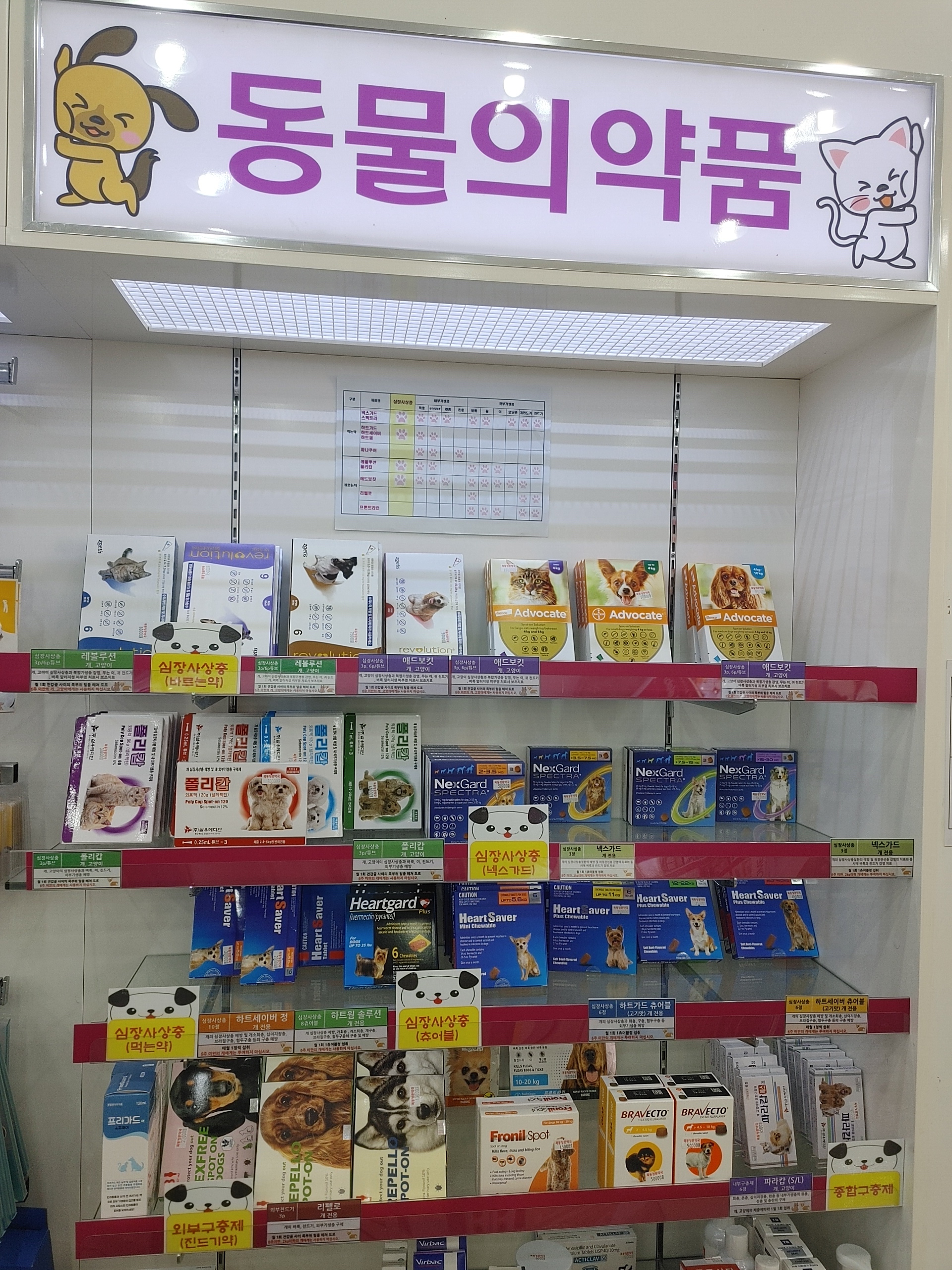 목동정문약국 대표 이미지
