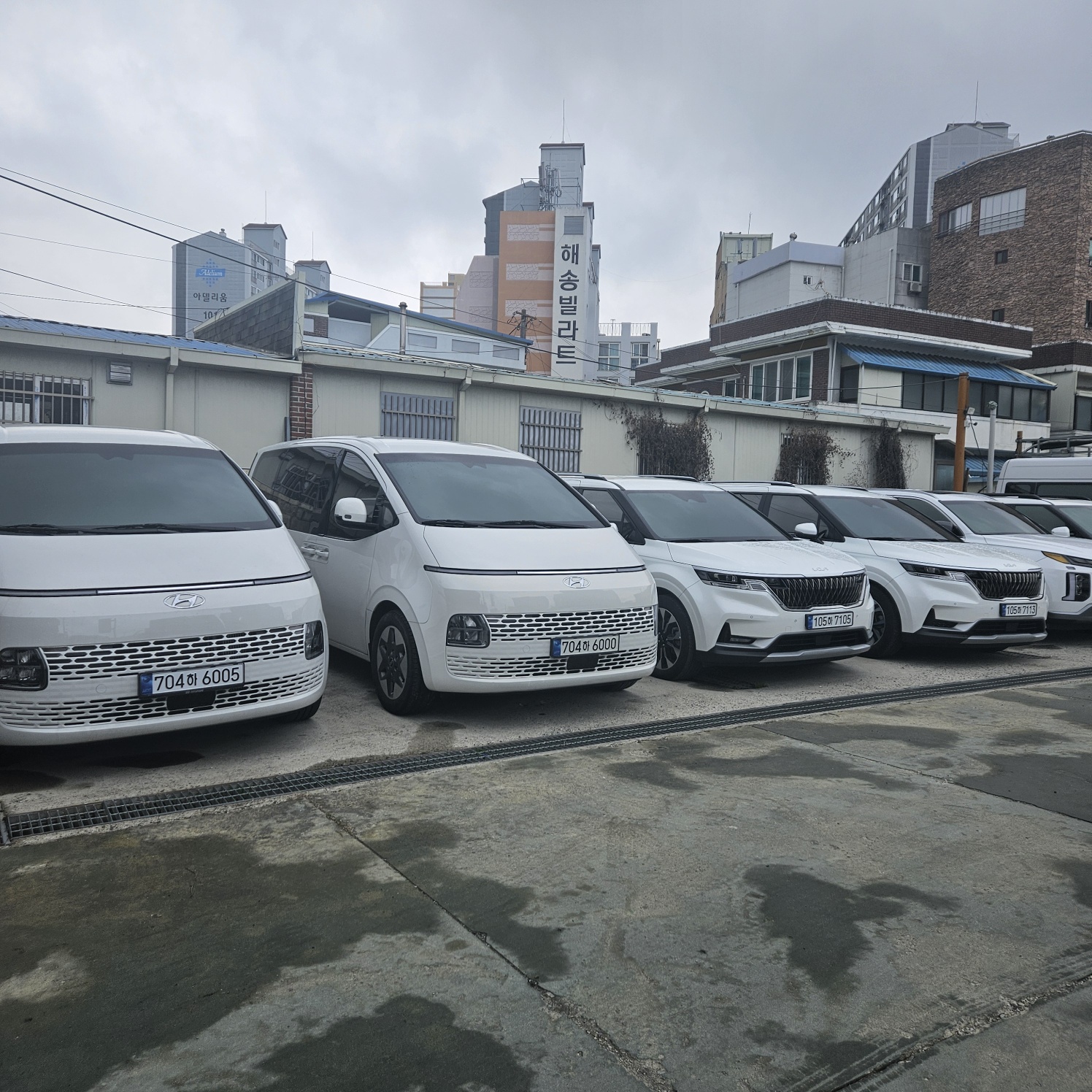 일일사투어렌트카