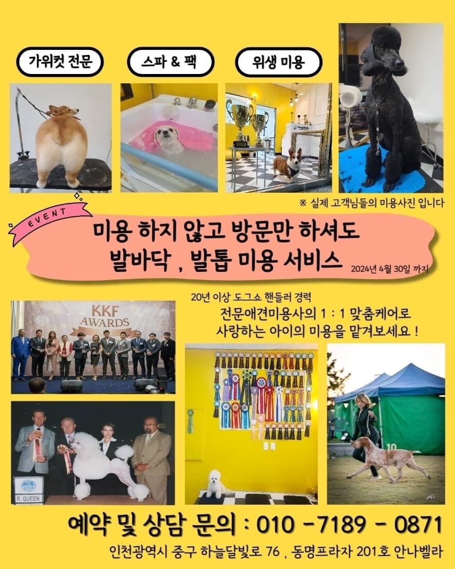 안나벨라 대표 이미지