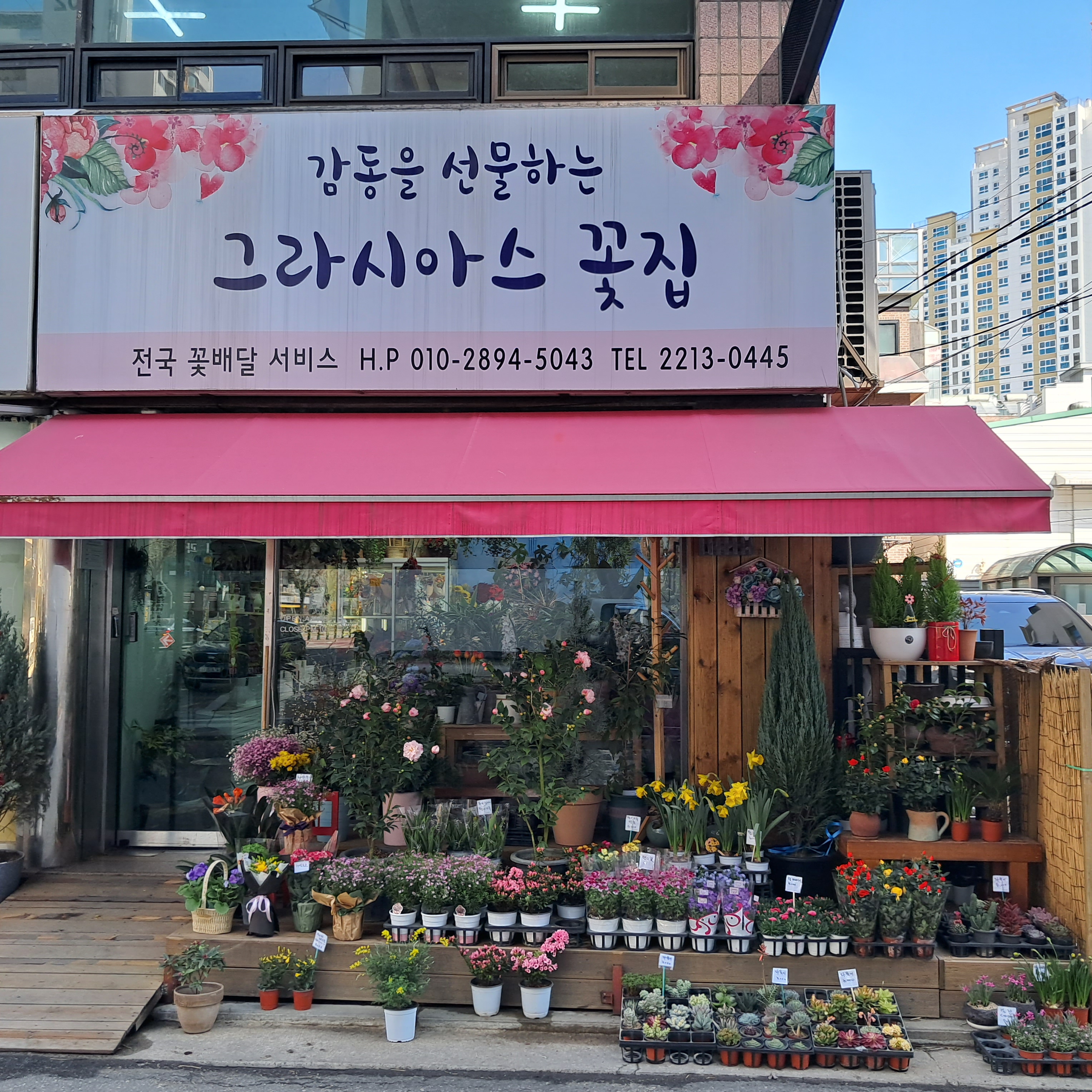 그라시아스꽃집
