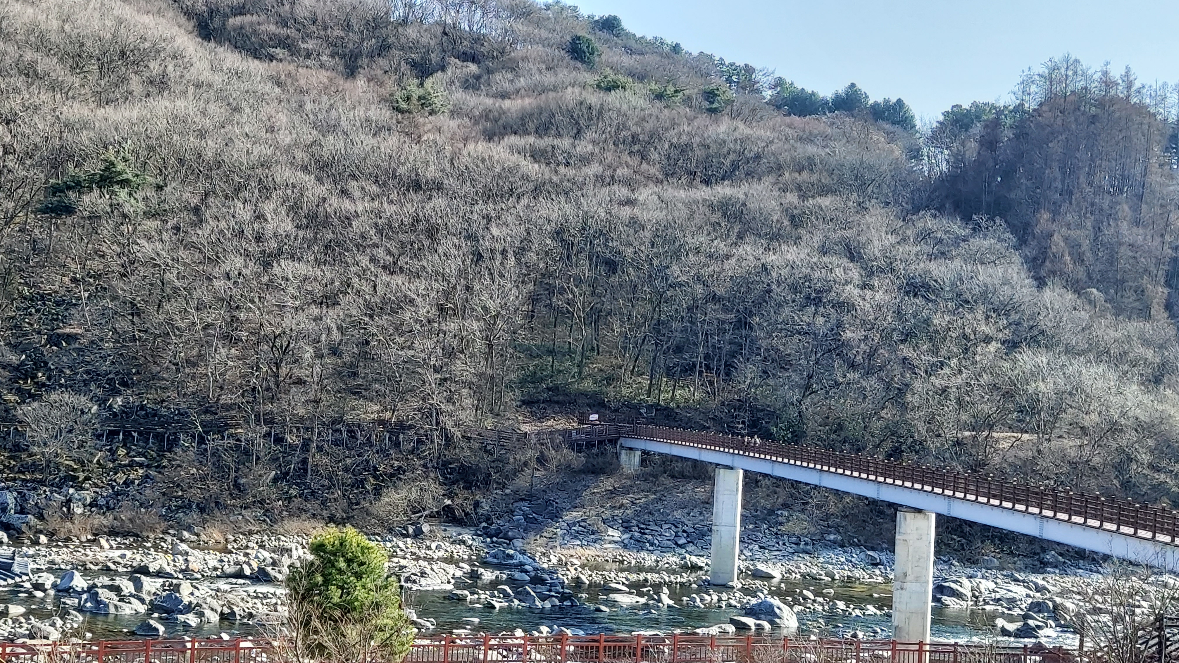 카페 콩가