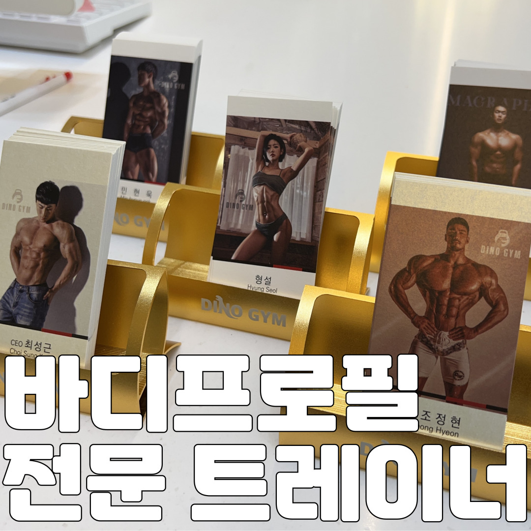 디노짐