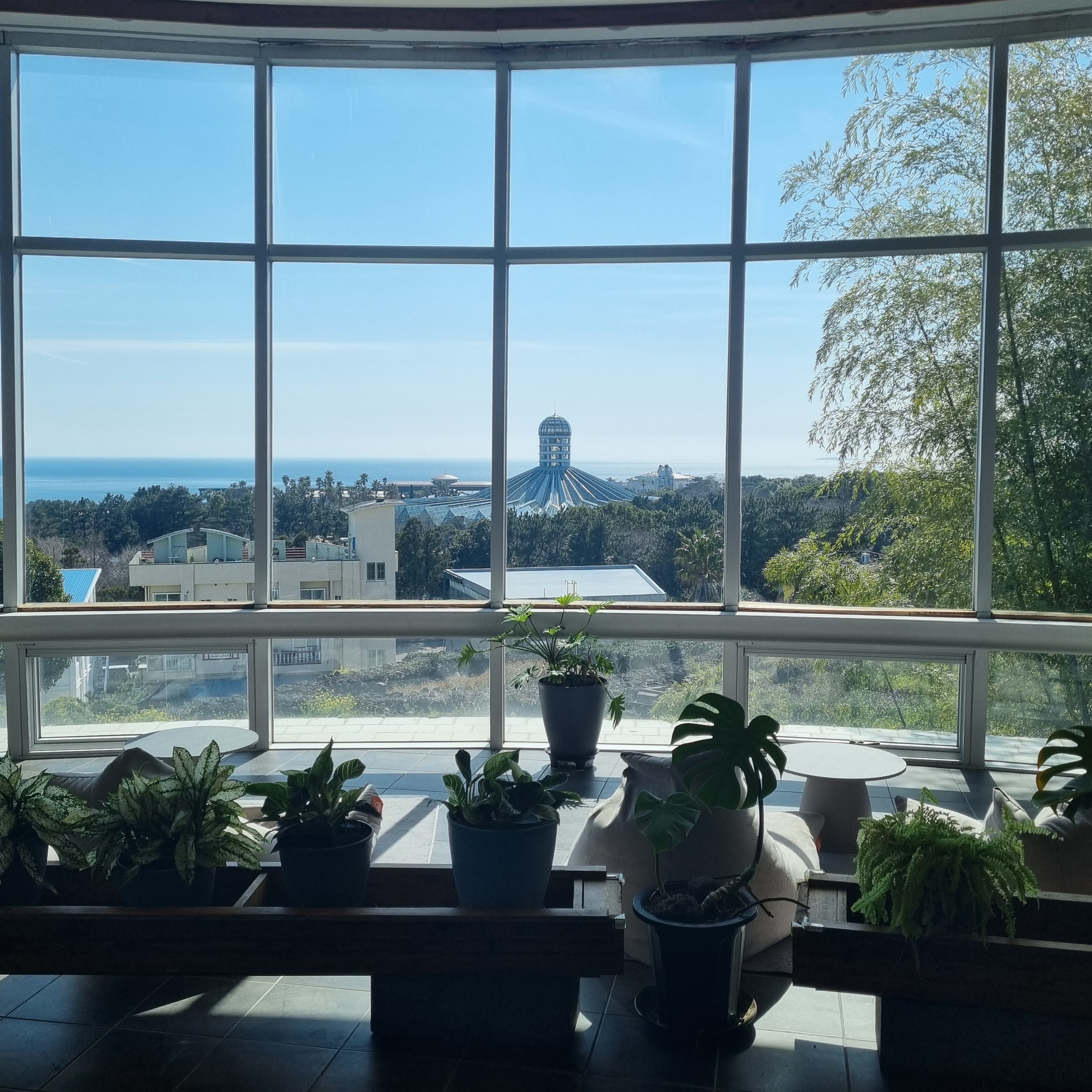 코우코알라 대표 이미지 (오션뷰)