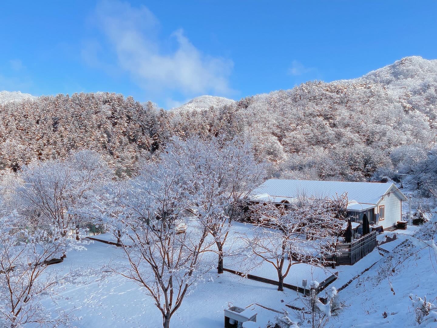 화천휴캠핑장 강원 애견숙소