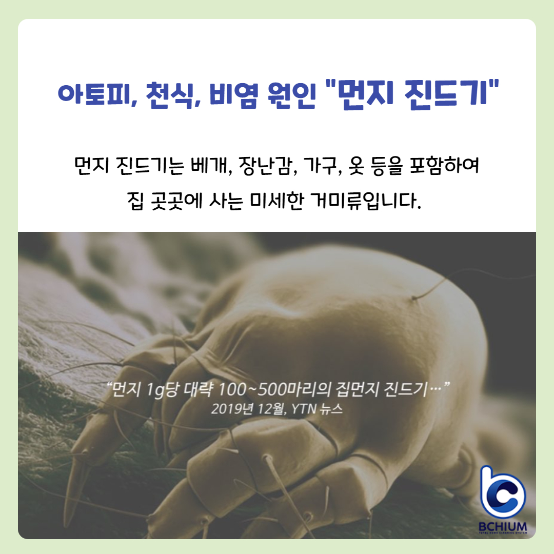 비치움 대청소 대표 이미지