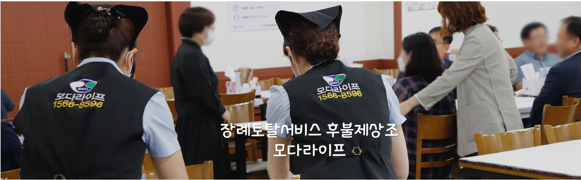 모다라이프