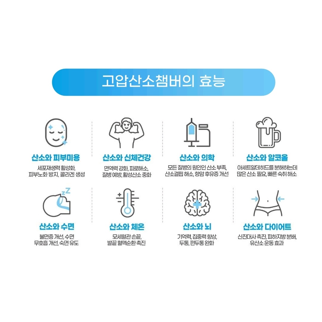 에어라인 강남