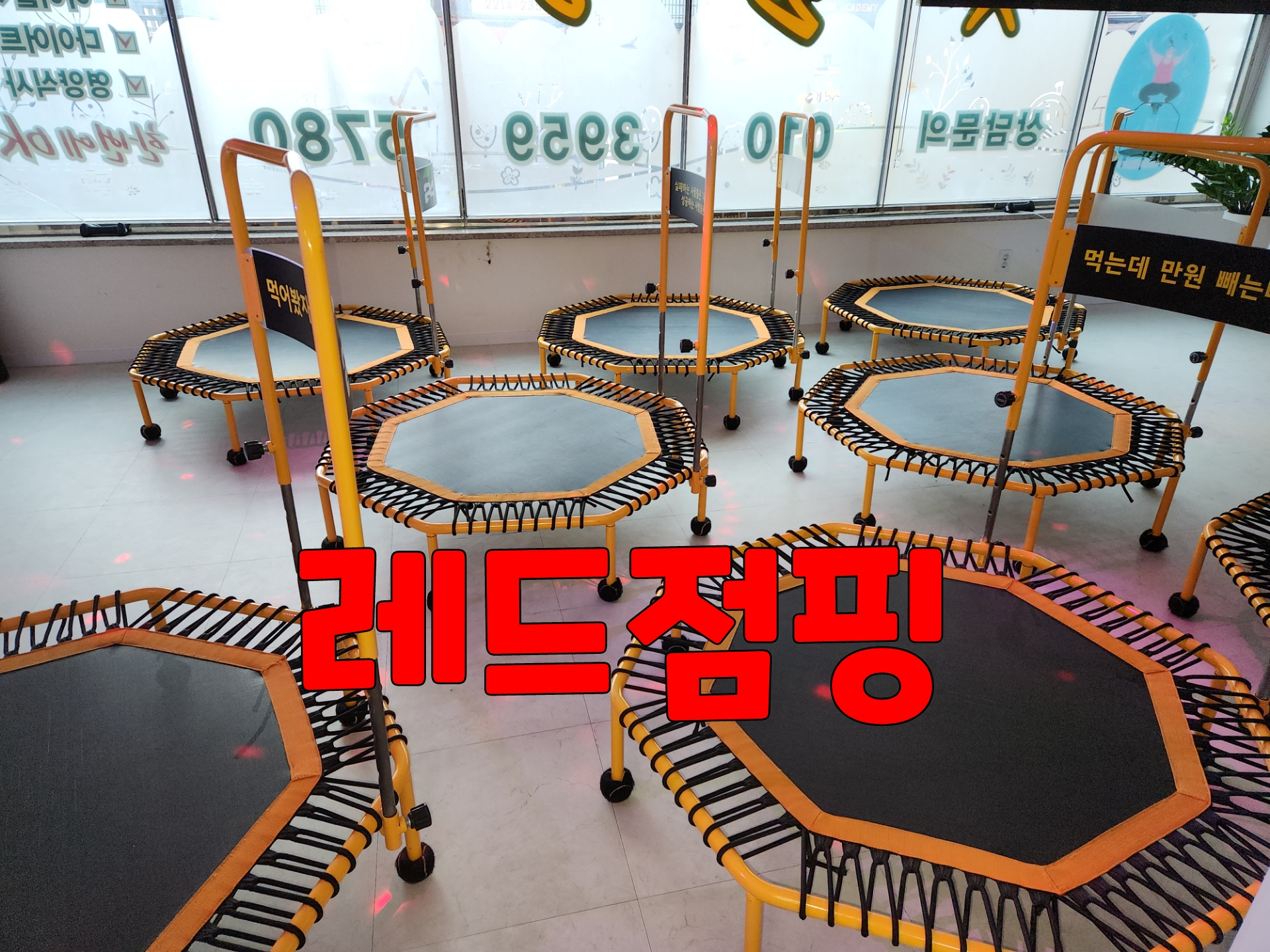 레드점핑다이어트
