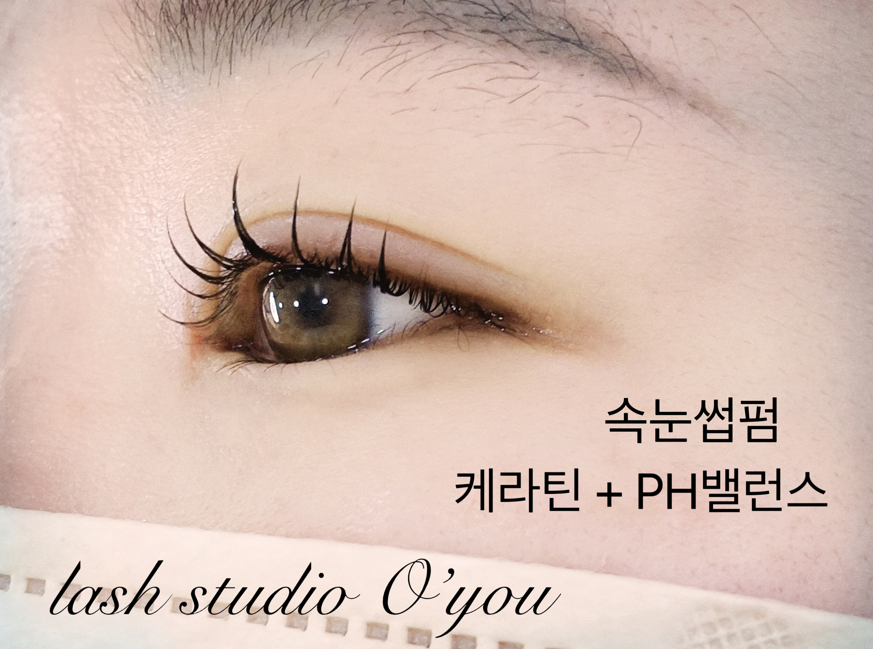 래쉬스튜디오 오유