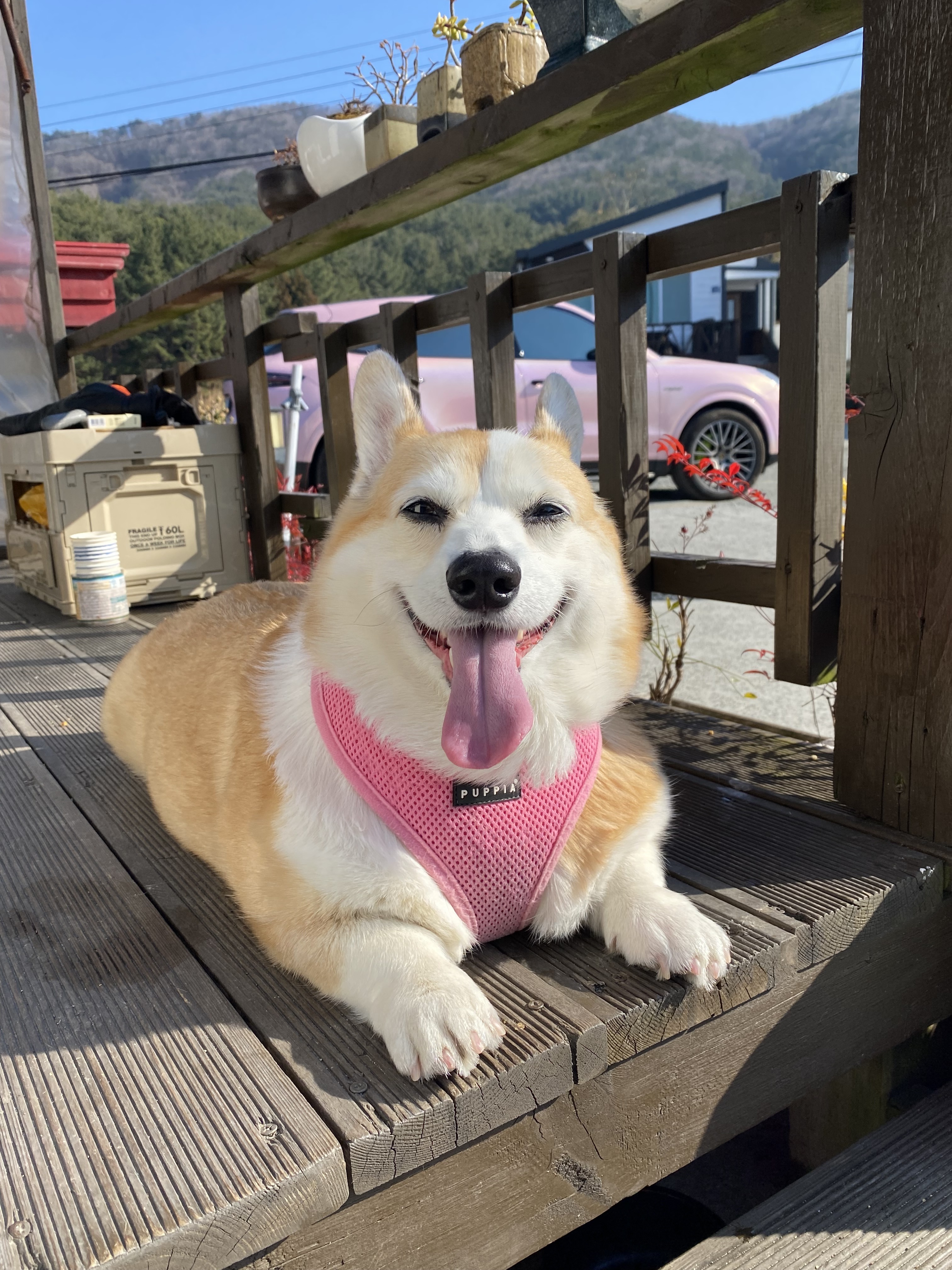 거제봄날펜션
