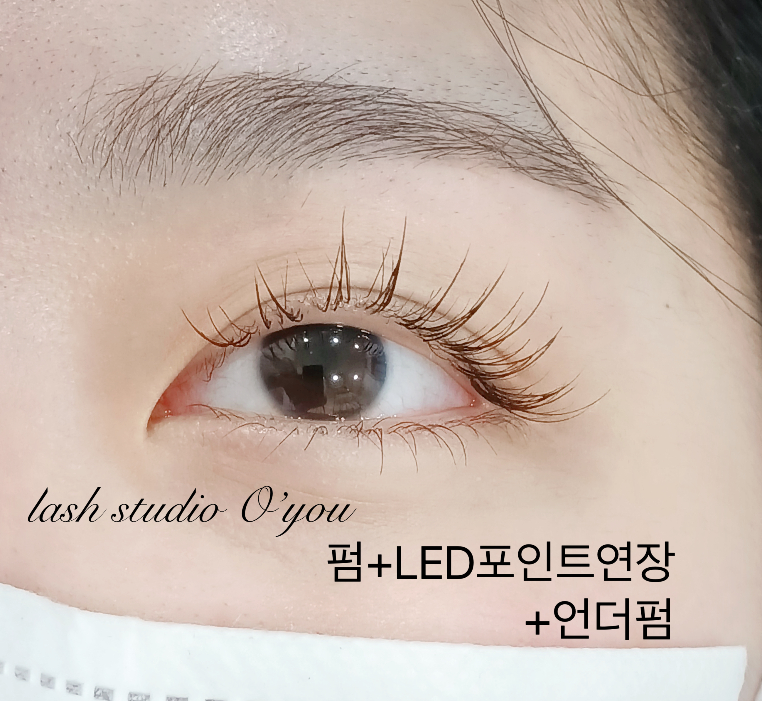 래쉬스튜디오 오유